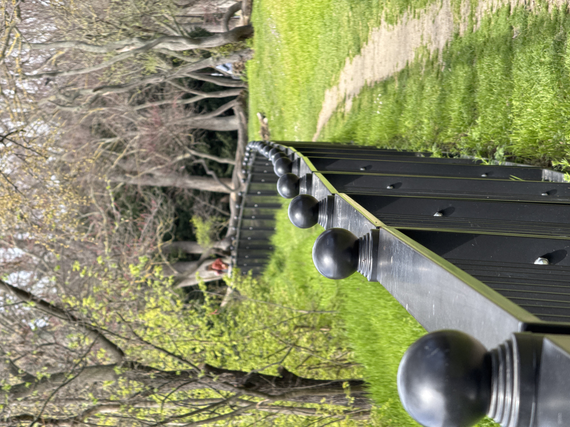 The image shows a black metal fence with spherical finials running along a grassy path. The path is bordered by trees on either side, some of which are budding with green leaves. In the distance, a brown dog stands on the path. The location is likely a park in the city of Varna, Bulgaria, given the vegetation and architecture. The fence appears to be new or well-maintained. No people are visible.