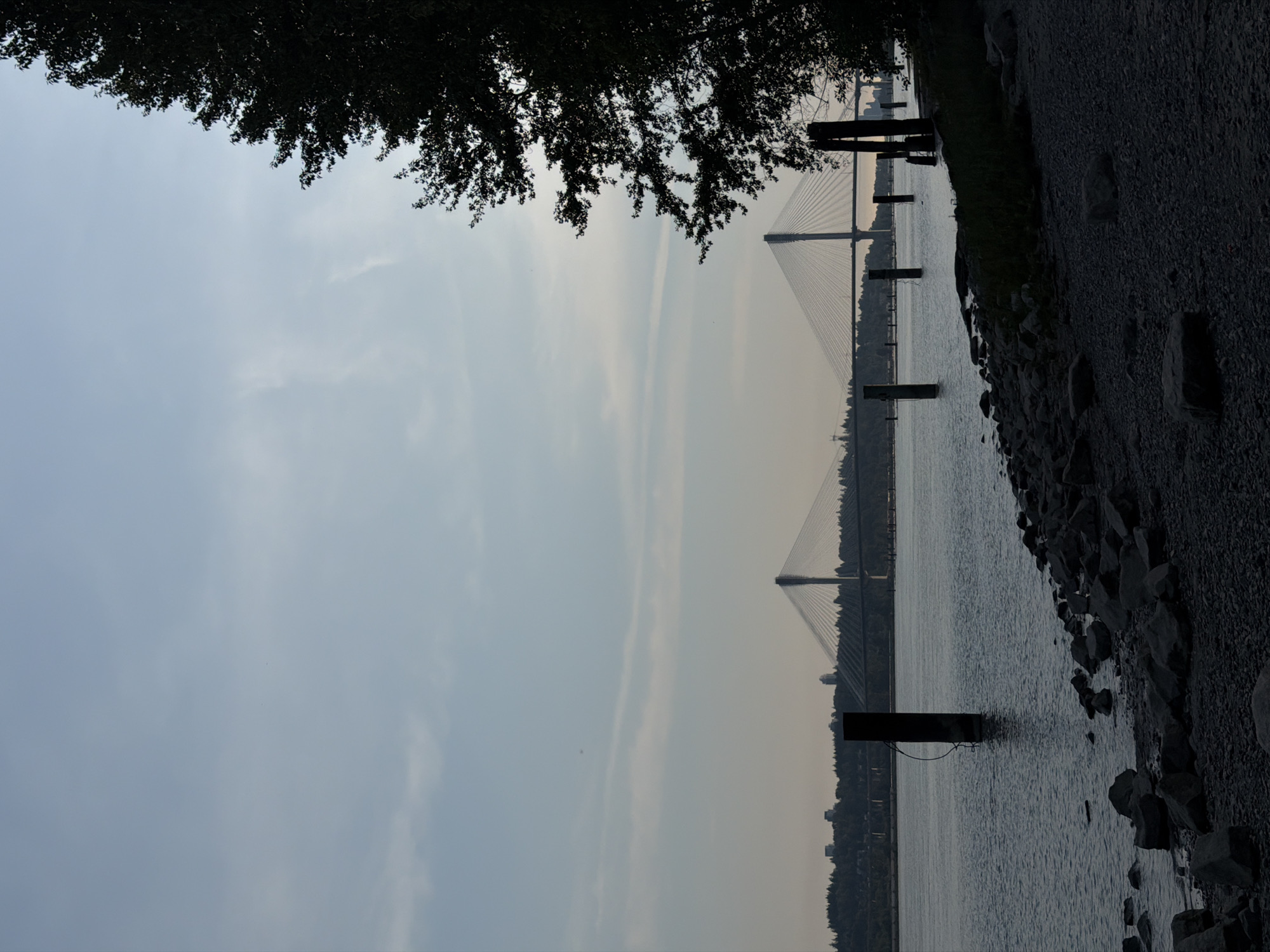 The image captures a serene twilight scene on the Fraser River in Port Coquitlam, Canada. A large cable-stayed bridge dominates the background, its suspension cables fanning out from a central pylon against a pale sky. The bridge spans the river, connecting the city's shoreline to a distant, tree-lined bank dotted with buildings. The water in the foreground is calm, reflecting the muted colors of the sky. The riverbank is rocky, with scattered stones and a dark, silhouetted tree on the right side of the frame. Several weathered wooden posts or pilings rise from the water near the shore, adding a rustic element to the otherwise modern bridge. The overall atmosphere is tranquil and still, characteristic of the transition from day to night.
