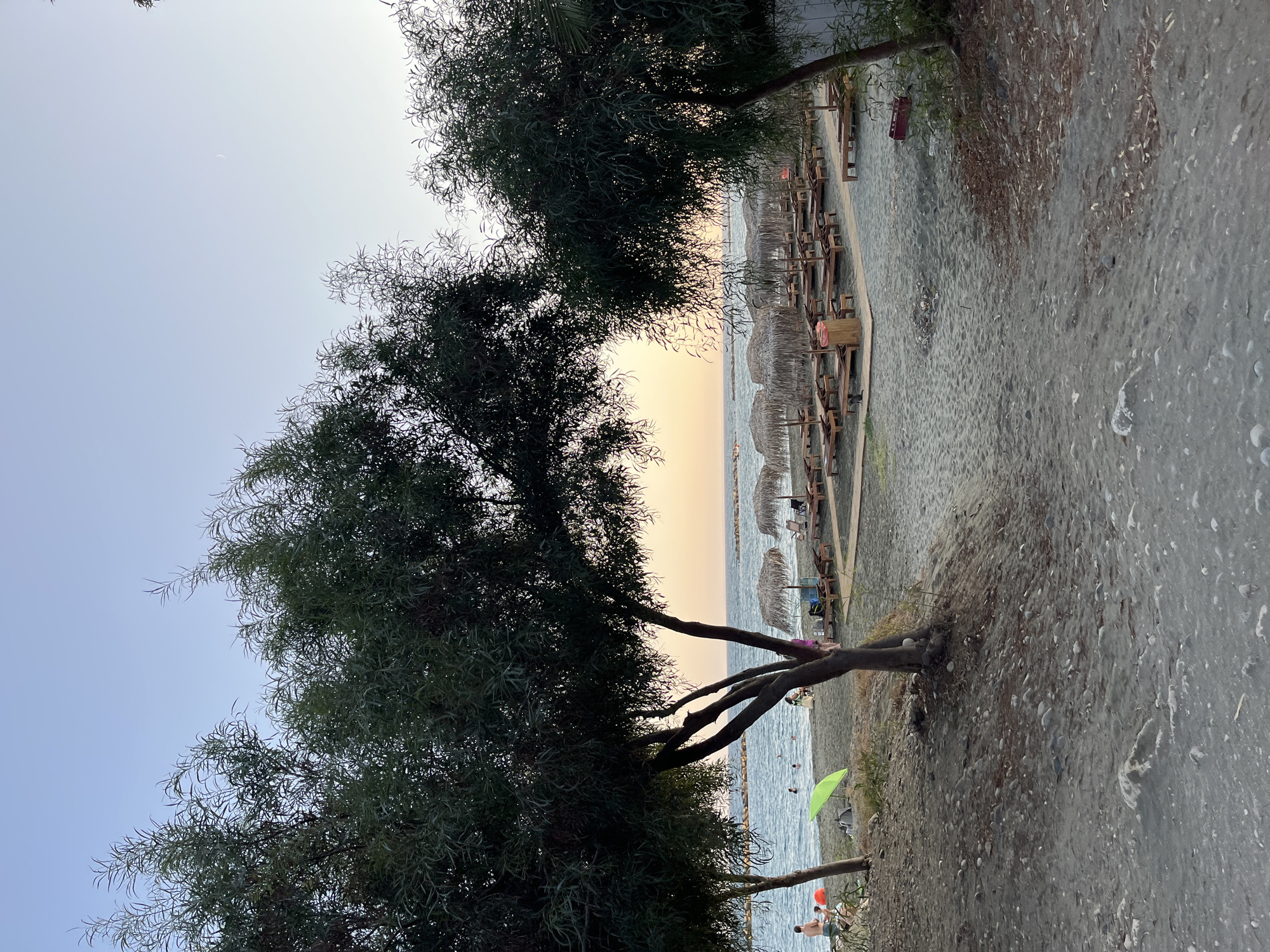 This image depicts a serene beach scene in Agios Tychona Community, Cyprus, at dusk. Two large, leafy trees frame the view, their branches extending towards the center of the frame. Beyond the trees, rows of empty lounge chairs and thatched umbrellas are neatly arranged on the sandy shore, suggesting a popular tourist destination. The calm, blue sea stretches out to the horizon, with a few small waves lapping at the beach. In the distance, faint breakwaters are visible in the water.
On the left side of the beach, closer to the water, a few individuals are seen enjoying the evening. One person, wearing a green umbrella, is seated near the water's edge, while others are partially visible in the sea. The sand itself appears dark and pebbly in the foreground, transitioning to a lighter, finer sand further back. The sky above is a soft gradient of pale blue and a hint of orange from the setting sun, with a sliver of a crescent moon visible in the upper right quadrant. The overall atmosphere is peaceful and tranquil.