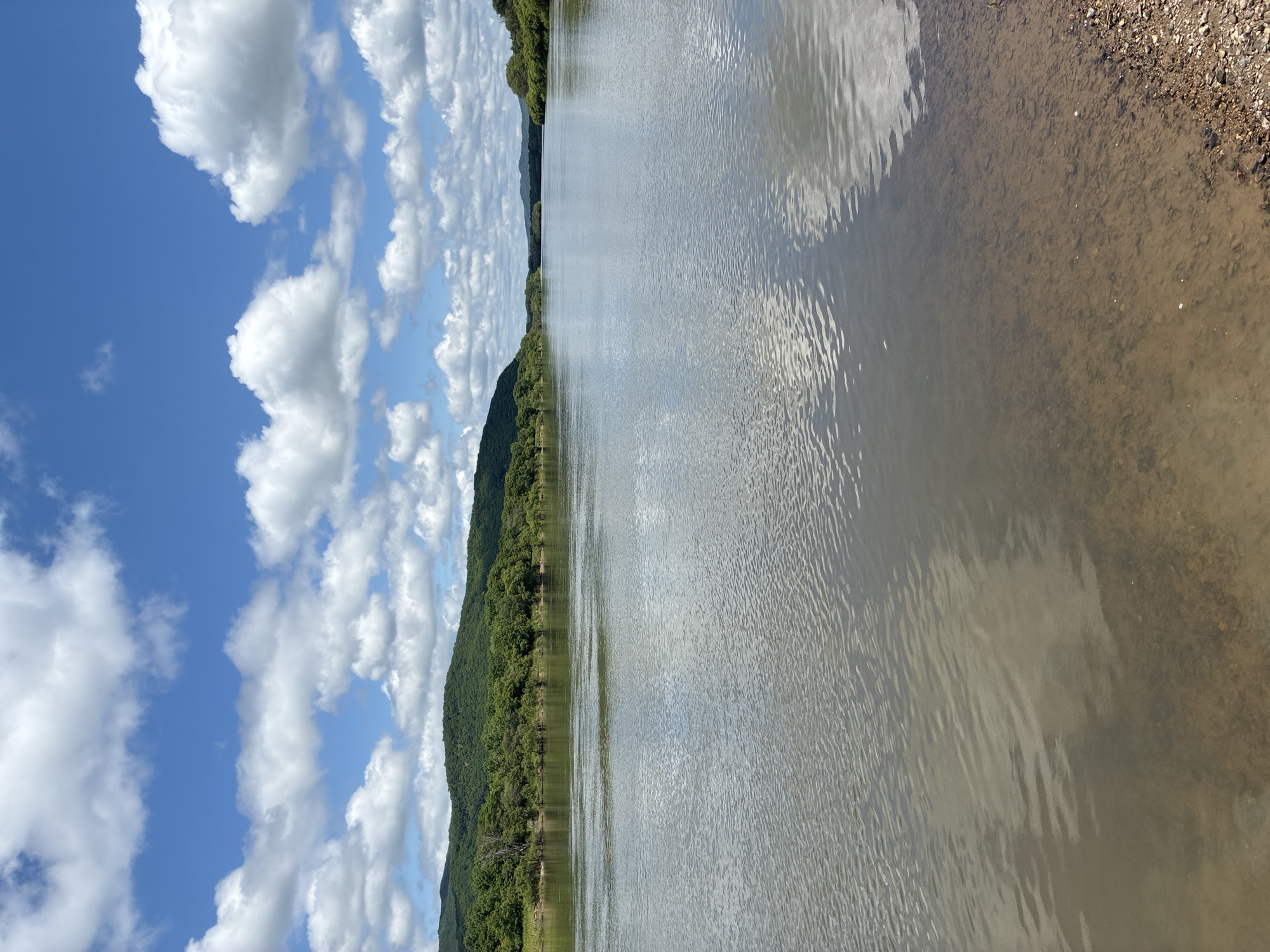 The image shows a wide, calm river flowing through a lush, green landscape under a bright blue sky dotted with white, fluffy clouds. The river occupies the majority of the frame, reflecting the sky and surrounding vegetation. On the far bank, rolling hills covered in dense green trees stretch into the distance. The foreground features a shallow area of the riverbed with visible sand and small stones. The scene appears to be a natural, undeveloped landscape, suggesting a rural or wilderness setting. There are no people or man-made structures visible in the image. The location is specified as Gornye Kljuchi, Russia.