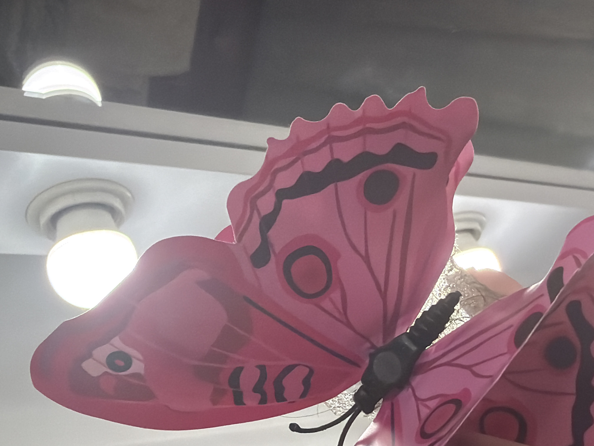 A close-up, low-angle shot captures a large, pink, decorative butterfly with black markings on its wings. The butterfly appears to be made of paper or a similar thin material, and its wings are spread open. A black, segmented antenna extends from the butterfly's body, along with a small black attachment. The butterfly's body is visible and appears to be a solid black piece.
In the background, there are hints of an indoor setting. Two round, white ceiling lights are visible, one brightly illuminated, suggesting the ambient lighting. A white, recessed fixture is also present, possibly part of the ceiling. Above the lights and butterfly, a dark, reflective surface, likely a ceiling or a pane of glass, shows reflections of lights, creating abstract shapes. The overall impression is of a decorative element displayed in a well-lit interior space, possibly a store, an event venue, or a home. The focus is entirely on the butterfly, with the background blurred and out of focus, emphasizing its details and vibrant color. There is no discernible text in the image. The time of day and weather are not determinable from the provided image.
