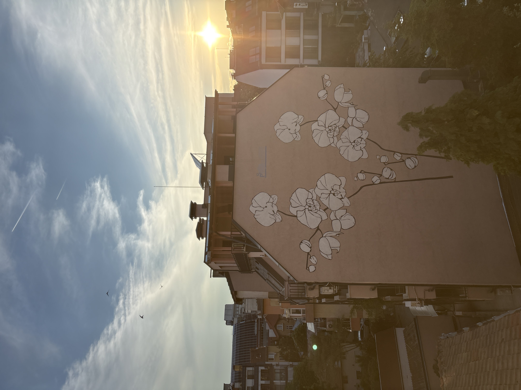 The image depicts a mural of orchids on the side of a building in Sofia, Bulgaria. The mural is rendered in black and white and features several orchid blooms and buds on slender stems. The building itself is light brown and appears to be residential. Above the building, the sky is a gradient of blue and orange, with the sun setting on the right side of the frame. Several wispy clouds are present, and a few contrails from airplanes are visible. Two small birds are also flying in the sky. The surrounding urban landscape includes other buildings of varying architectural styles, some with balconies and windows. Trees are visible in the foreground and midground, and parts of rooftops are also visible. The overall scene is bathed in the warm light of the setting sun, creating a slightly hazy and atmospheric effect.