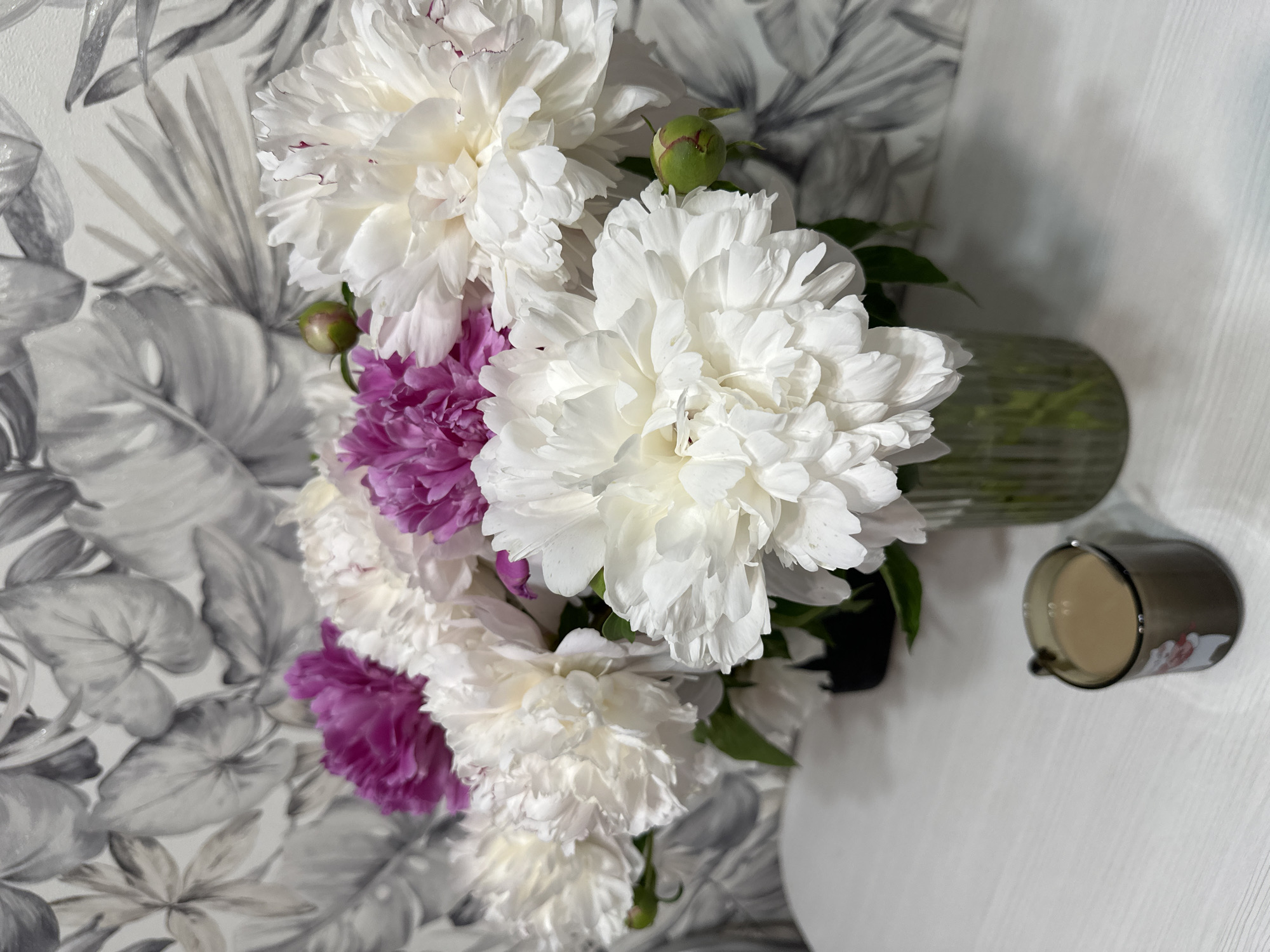 This still life image captures a vibrant bouquet of peonies set against a stylish backdrop in Chaikovsky, Russia. The scene is indoors, likely a domestic setting.
The primary subjects are a large arrangement of peonies in a clear glass vase, positioned prominently in the center-left of the frame. The majority of the peonies are fluffy white, showcasing their dense, ruffled petals. Interspersed among the white blooms are several striking magenta or deep purple peonies, adding a bold contrast. A couple of green peony buds are also visible, hinting at future blossoms. The flowers appear fresh and fully bloomed, with some still partially closed.
The background features a wall adorned with a monochrome botanical wallpaper, depicting large, stylized leaves in shades of grey and white, possibly resembling Monstera or other tropical foliage. To the right of the bouquet, a pristine white table or surface extends, holding a dark-colored glass or mug containing a light brown beverage, possibly coffee or tea. The glass vase, holding water, is partially obscured by the flowers and the white table.
The lighting in the image is bright and even, suggesting daytime. No people are visible, and no specific activity is taking place beyond the arrangement itself, creating a serene and calm atmosphere. The image evokes feelings of domestic beauty and tranquility. There is no visible text in the image.