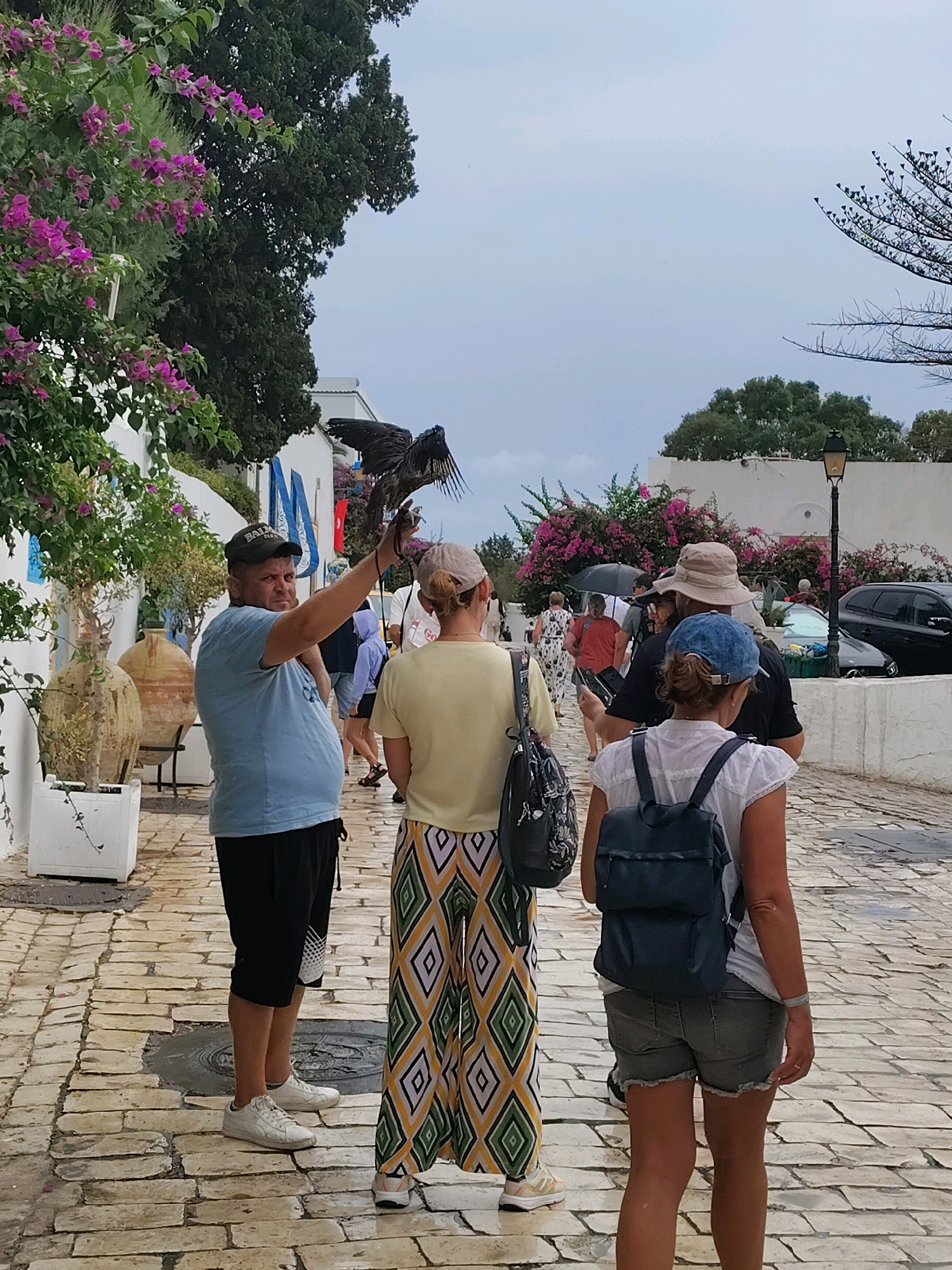 In Tunis, Tunisia, a man in a blue t-shirt and black shorts holds a dark-colored bird of prey with outstretched wings on his left arm. He is wearing a black baseball cap with white lettering that reads "BAILYN". He stands on a cobblestone path, with a woman in a yellow t-shirt and patterned pants walking away from him. To the left of the path are white walls, large potted plants, and a bougainvillea tree with pink flowers. In the background, other people walk along the path, some with umbrellas, and a black car is parked on the right side of the street. A street lamp with a black fixture is visible in the distance. The sky is overcast.