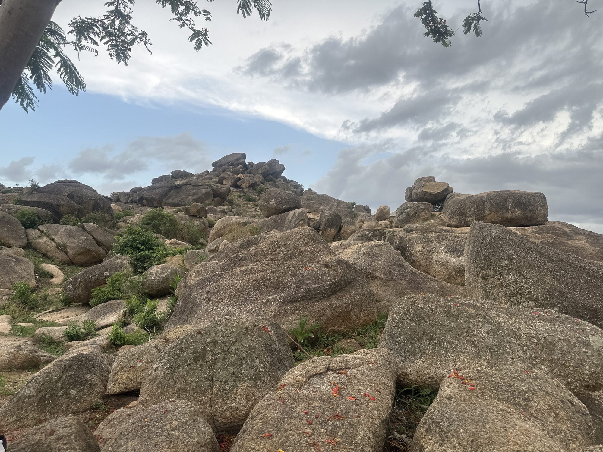 The image depicts a rocky landscape, likely a part of a rock formation, under a cloudy sky. Large, grey boulders dominate the foreground, strewn with what appear to be small red and yellow flower petals or seeds. Some greenery is visible between the rocks, including small bushes and patches of grass. The landscape rises to a higher elevation in the midground, culminating in a peak of piled rocks. A tree branch with leaves and red flower is visible in the upper left corner, and another similar branch is in the upper right corner. The location is likely in or near the city of Jos, Nigeria, based on the prompt, but this information is not visually verifiable from the image alone. No people are visible.