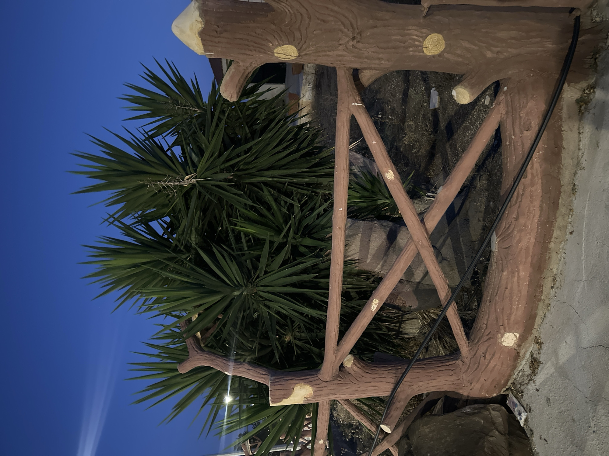 In the city of Peyia, Cyprus, at dusk, a decorative fence crafted to resemble tree branches stands in front of a cluster of lush green yucca plants. The fence, made of a reddish-brown material, features a main vertical post on the right, shaped like a tree trunk with carved wood grain details and circular yellow accents resembling knots. A horizontal railing extends from this post, supported by diagonal crossbars. Another similar vertical post is visible to the left, partially obscured by the plants. The background reveals more yucca plants, some dry stalks, and hints of a building with a light-colored roofline and a dark doorway. The ground in front of the fence is paved with concrete, showing some cracks and scattered debris, including a small white object. A black cable runs across the ground and behind the fence. The sky above is a deep blue, transitioning from twilight. No people are present in the scene.