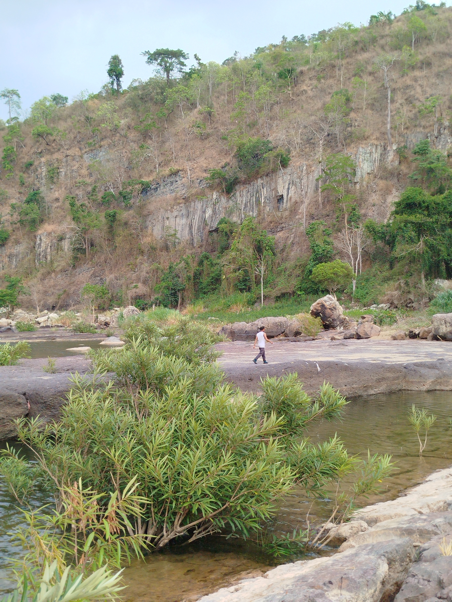 A man wearing a white tank top and dark pants is walking from left to right across a flat, rocky area in what appears to be a riverbed in Tân Phú, Vietnam. The water level is low, exposing large, flat rock surfaces. A large shrub with dense, green, willow-like leaves grows at the water's edge in the foreground. The background features a steep hillside with a mix of vegetation, including trees and dry grass. A cliff with visible rock strata runs along the lower part of the hill. The sky is overcast.