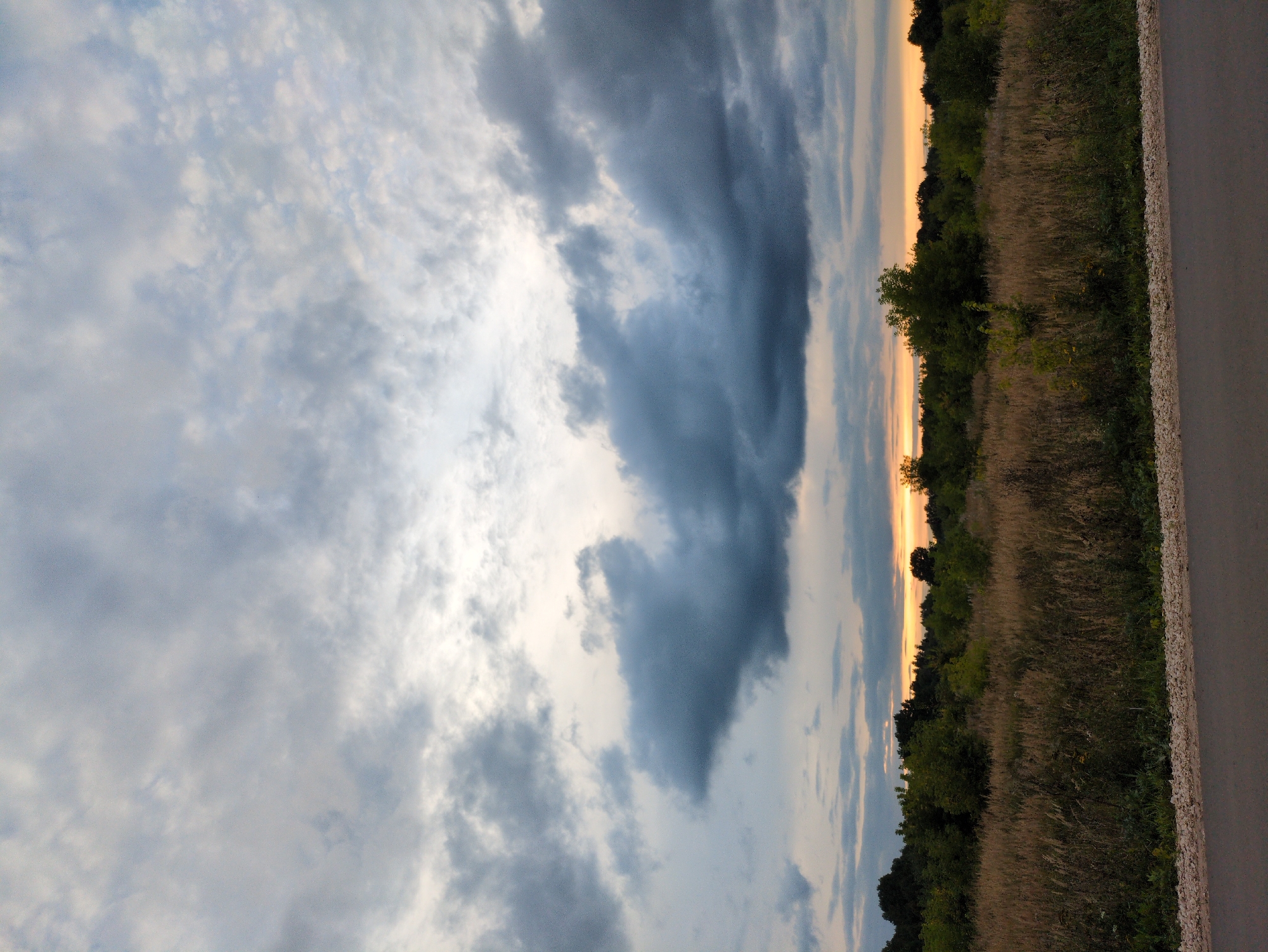 This is a horizontal, eye-level, medium shot of a rural landscape at dusk. The sky is filled with dramatic, dark gray clouds, with a sliver of orange visible near the horizon, indicating sunset. The lower half of the image shows a field of tall, dry grass and vegetation, with a line of dark green trees forming a backdrop along the horizon. A narrow, gray asphalt road runs across the bottom of the frame, bordered by a strip of light-colored gravel and some sparse green grass. The scene depicts a natural environment with no people or animals visible. The location is identified as посёлок Молочной фермы, Russia.