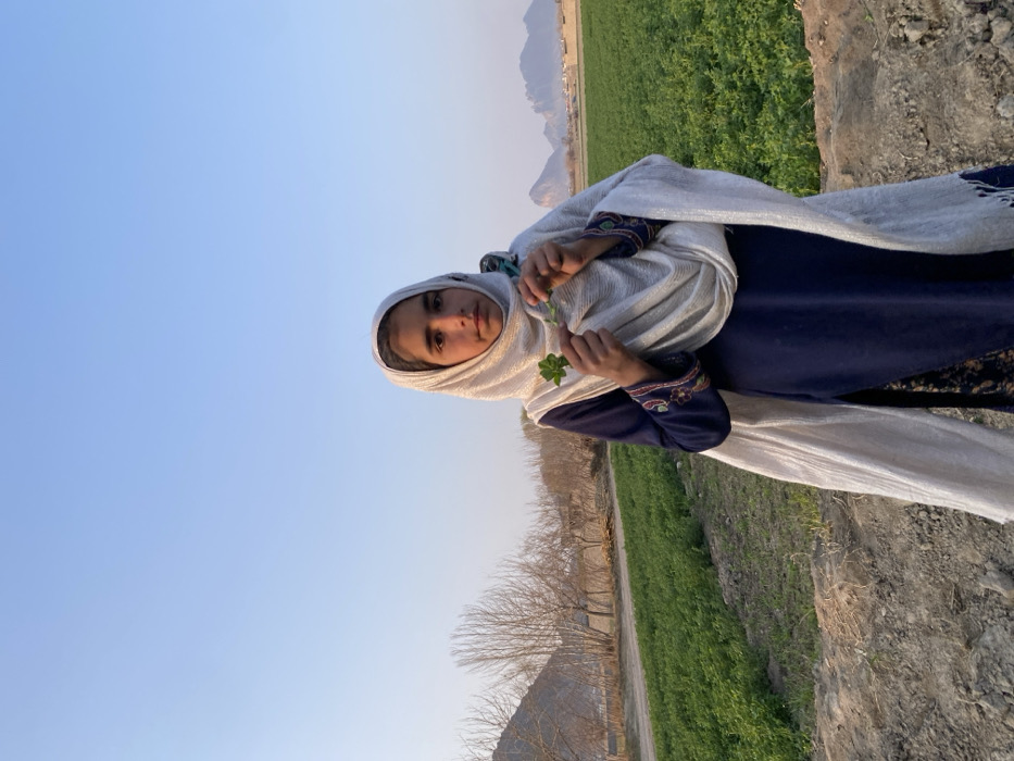 A young female subject stands centrally in an outdoor agricultural setting within the city of Kandahar, Afghanistan. She faces the viewer with a neutral expression. The subject is dressed in a dark blue long-sleeved tunic with visible embroidery on the cuffs, and a light-colored, shimmering dupatta draped over her head and shoulders. She holds two distinct green plant cuttings at chest level, one in each hand. The immediate foreground consists of a raised, uneven dirt embankment. Behind the subject, a vast expanse of vibrant green cultivated fields extends into the midground. To the left, a dirt path borders the fields, beyond which a cluster of bare deciduous trees stands before a large, light-colored mountain. To the right, additional green fields lead to a distant range of jagged mountains. The sky is clear and pale blue, indicating daytime conditions.