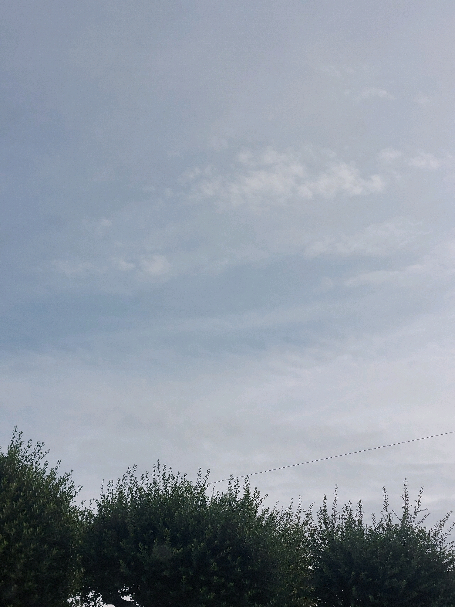 The image depicts a clear sky with scattered clouds above a dense line of green trees. The trees appear to be trimmed hedges, forming a uniform barrier across the lower portion of the frame. A thin, dark wire stretches horizontally across the top of the trees, breaking the continuity of the foliage. The sky is a light blue with wispy white clouds. The scene is devoid of any human presence or activity. This image was taken in Sant'Arpino, Italy.