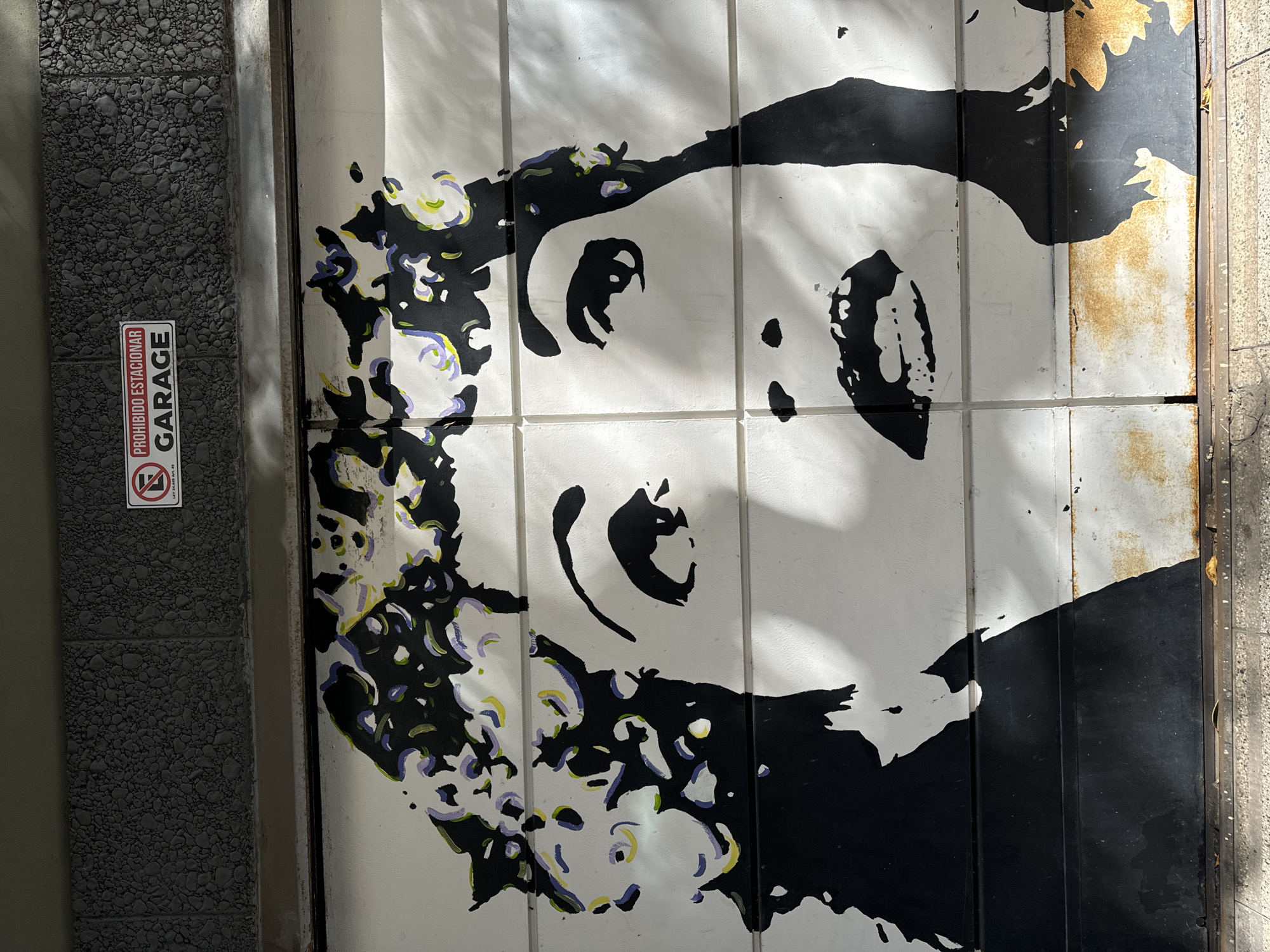 The image shows a garage door in Buenos Aires, Argentina, with a black and white painted portrait on it. The artwork features expressive eyes, a large forehead, and what appears to be curly hair with violet and yellow accents. The door itself is composed of vertically arranged panels, some of which have signs of rust. To the left of the door, there is a wall with a stone-like texture. Attached to the wall is a sign that reads "PROHIBIDO ESTACIONAR GARAGE" indicating that parking is prohibited in front of the garage. The scene is illuminated by natural sunlight, casting shadows over the door and the painted portrait.
