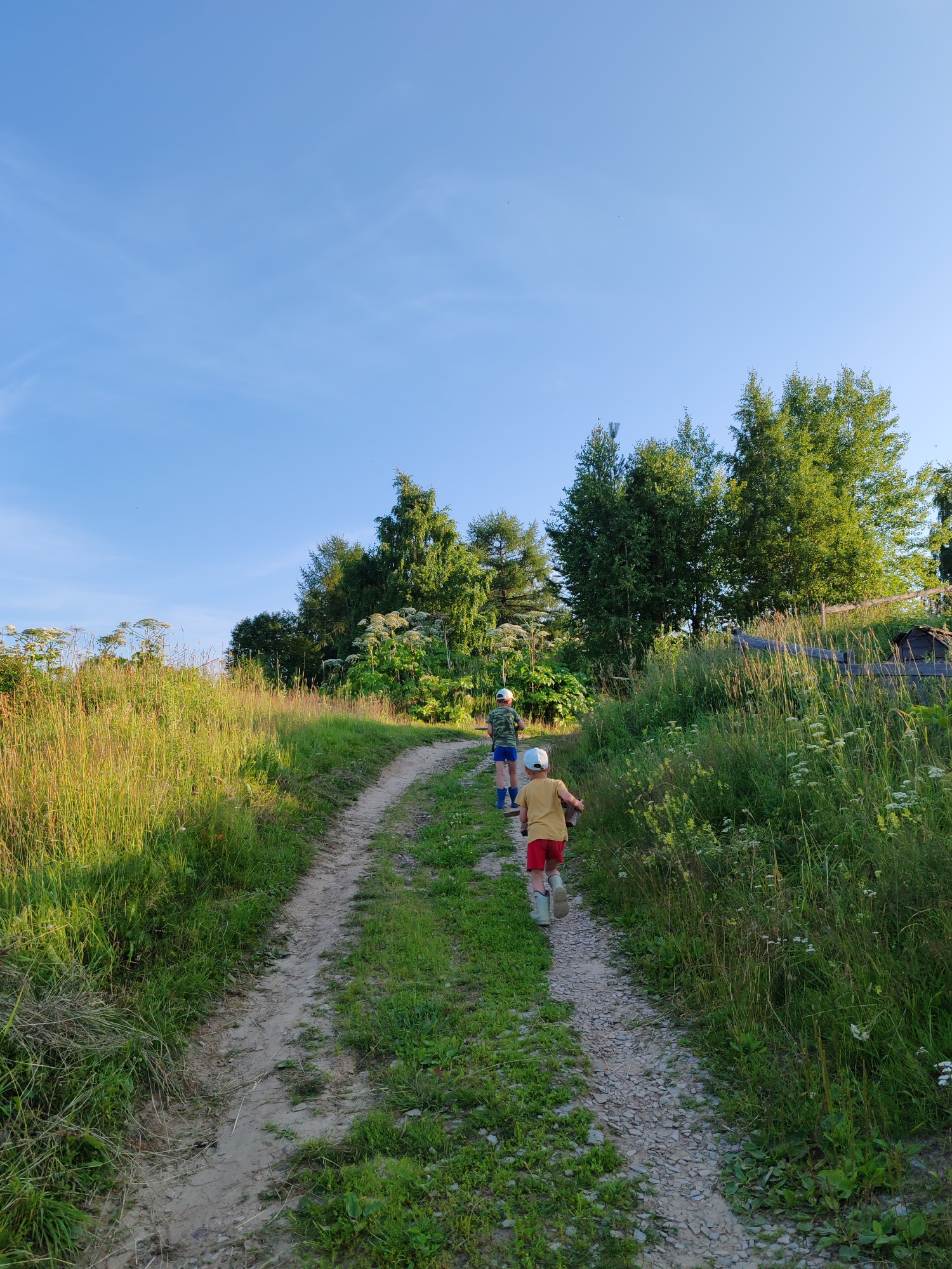 Two young boys are walking away from the camera on a dirt path through a grassy, overgrown field. The boy in the foreground wears a yellow t-shirt, red shorts, and light green boots. The boy behind him wears a camouflage t-shirt and blue shorts, also with blue boots. The path is lined with tall green grass and wildflowers, and tall trees are visible in the background. The sky is clear and blue with some wispy clouds. The scene appears to be in a rural area.