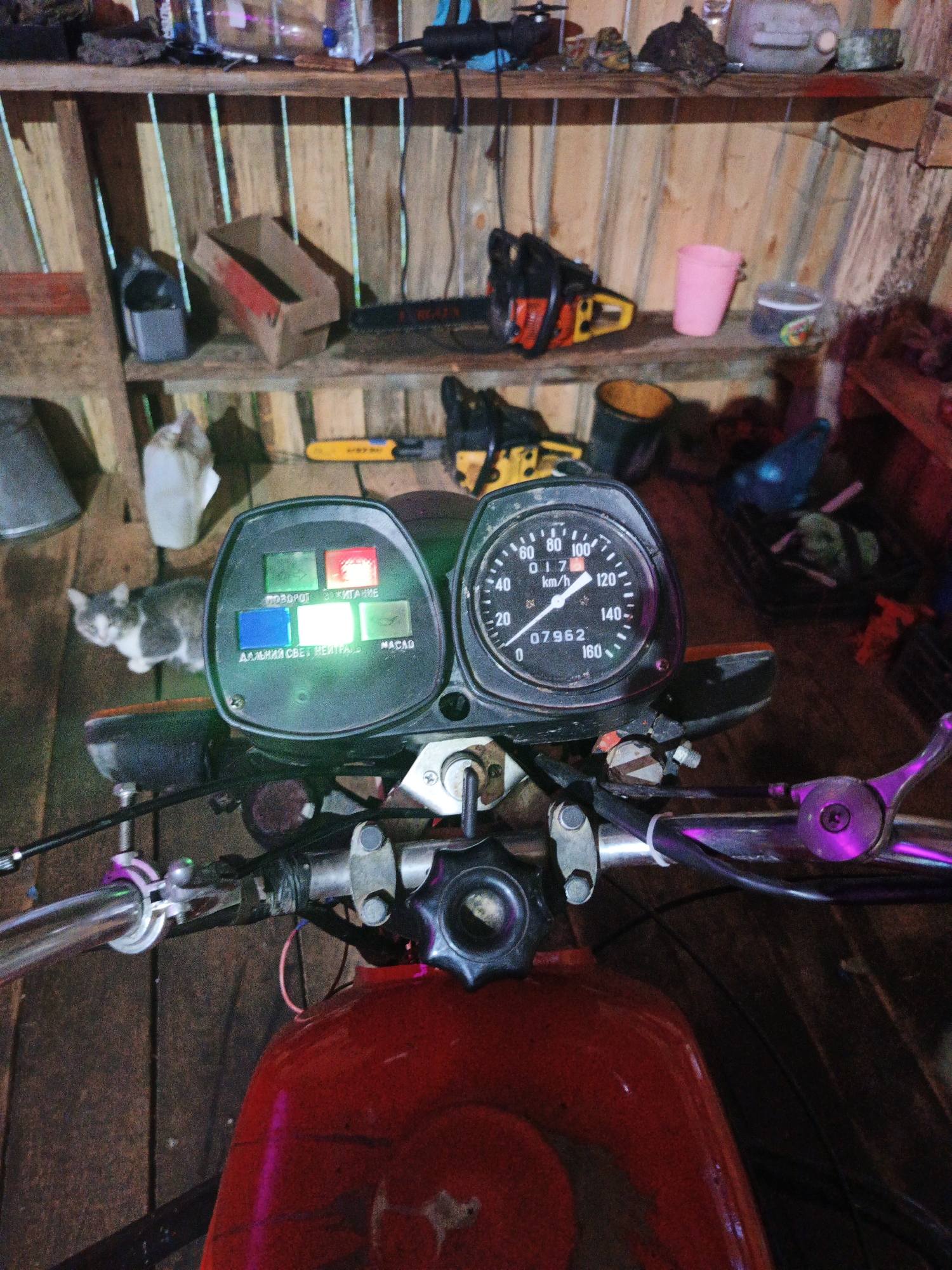 The image is a close-up, medium-angle shot of a motorcycle's dashboard, likely taken in a dimly lit workshop or garage. The dashboard features a speedometer, an odometer showing 07962, and a cluster of indicator lights. The speedometer needle is pointing slightly past 0 km/h, indicating the motorcycle is stationary or moving very slowly. Several indicator lights are illuminated: a green "ПОВОРОТ" (turn) light, a red "ЗАЖИГАНИЕ" (ignition) light, a blue "ДАЛЬНИЙ СВЕТ" (high beam) light, a green "НЕЙТРАЛЬ" (neutral) light, and another green light labeled "MACAD".
In the background, on wooden shelves, are various items including what appears to be a chainsaw, tools, containers, and a pink bucket. A cat, predominantly grey and white, is visible to the left of the dashboard, looking towards the camera. The overall environment suggests a rustic, possibly unkempt, storage or working space. The location of Islambaevo, Russia, is mentioned in the prompt, but there are no specific visual cues within the image to confirm this exact location.