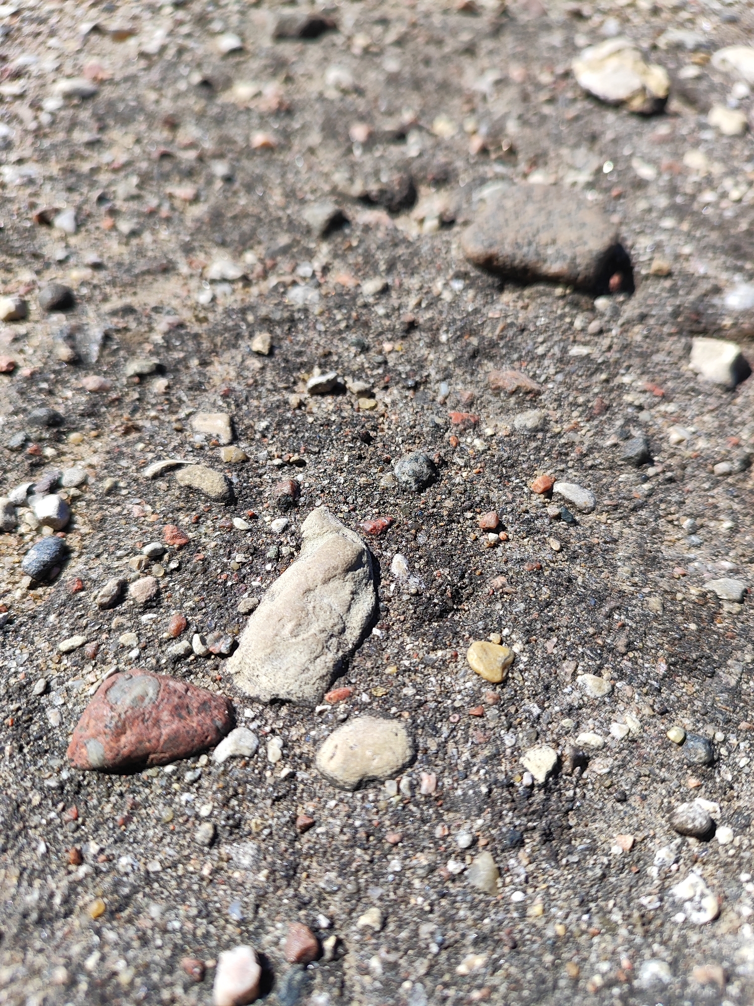 This is a close-up, ground-level photograph of a gravel and sand surface. The surface is composed of dark gray and black granular material mixed with a variety of small pebbles and stones. The stones vary in size, shape, and color, including shades of white, gray, brown, red, and tan. Some of the stones are smooth and rounded, while others are angular and irregular. In the foreground, a few larger stones are visible, including a reddish-brown, oval-shaped stone with lighter gray inclusions, and a larger, flattened, light gray stone with a textured surface. The lighting suggests a bright, sunny day, casting shadows on some of the stones. The environment appears to be an outdoor, unpaved area, possibly a path, road, or construction site. The image does not contain any people or discernible structures. The specific location in the city of Hrodna, Belarus, cannot be determined from the visual information provided in the image.