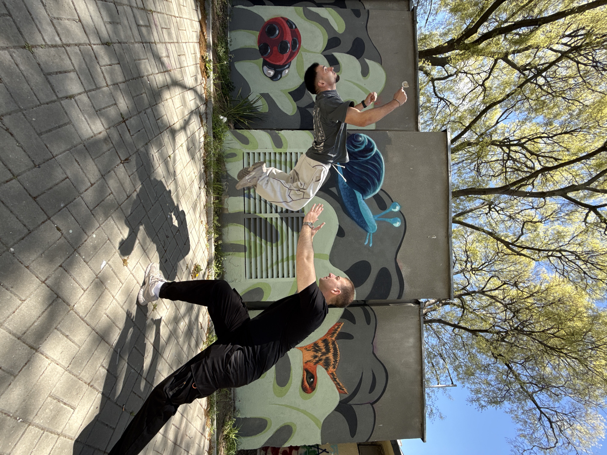 An outdoor scene in Varna, Bulgaria, captures two men engaged in a dynamic, illusory photograph under a bright, clear blue sky.
The prominent feature is a large, grey concrete wall on the left, adorned with colorful murals. The upper section of the mural features a red ladybug with black spots and a blue snail against a background of green and grey camouflage-like patterns. Towards the bottom, a stylized brown and orange animal head with a large eye is visible.
One man, dressed in a dark t-shirt, light-colored cargo pants, and white sneakers, is positioned against the mural. He appears to be mid-air, jumping or levitating horizontally, with his arms raised and hands open, looking upwards. Below him, on the grey interlocking brick pavement, the second man, wearing a black t-shirt, black pants, and white sneakers, is in a bent-over pose with arms raised, seemingly interacting with the 'jumping' man to create a visual trick.
The setting is bright and sunny, indicated by the crisp shadows cast on the pavement. To the right, the bare branches of a large tree are visible against the blue sky, just beginning to show light green spring foliage. The location appears to be an urban area or park with paved walkways and decorated walls, suggesting a public space. No visible text is legible in the image. The overall impression is one of playfulness and creative expression.