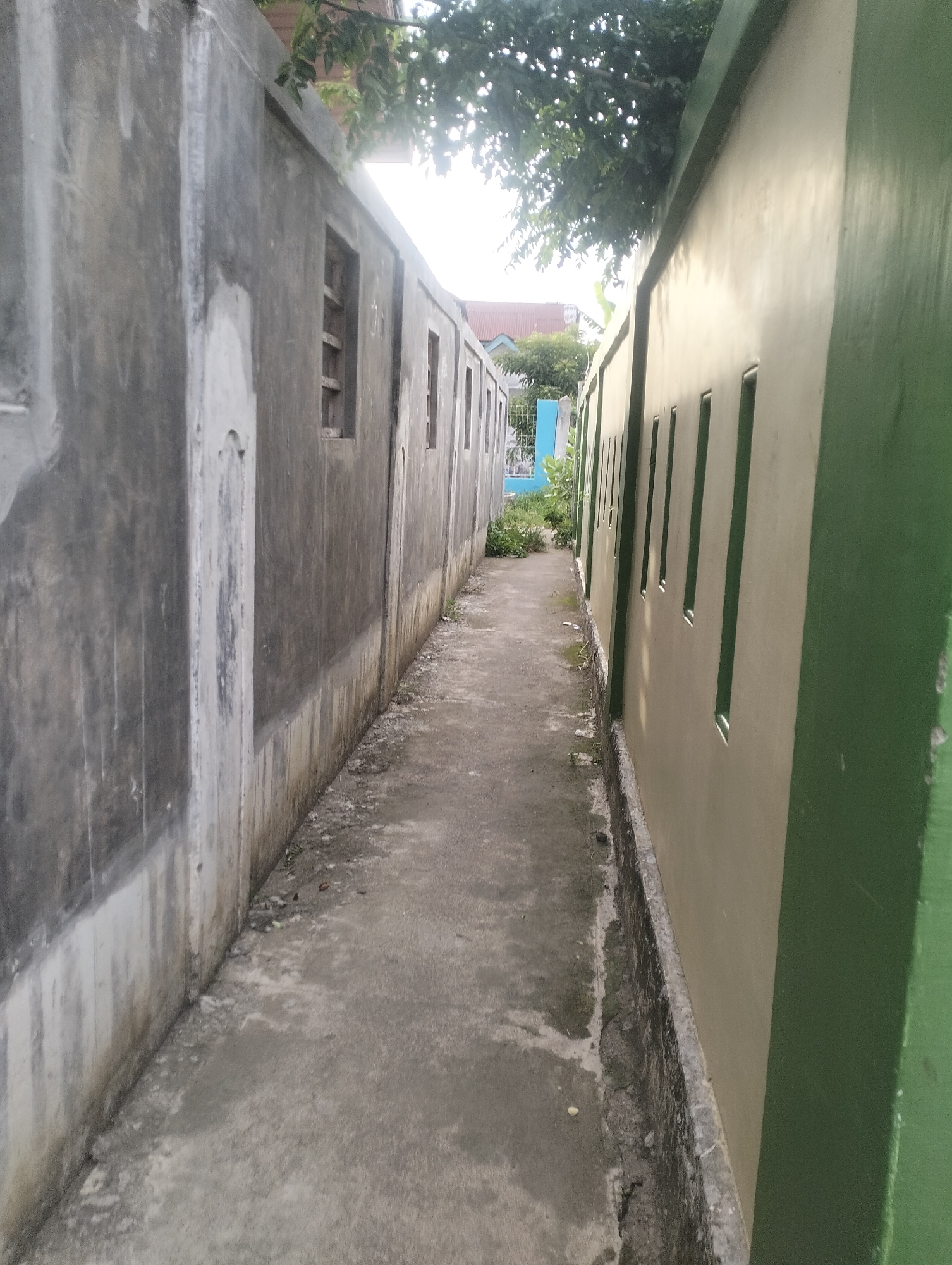 This image depicts a narrow alleyway between two buildings. On the left, a rough, gray concrete wall shows signs of wear and tear, with some staining and unevenness. Several small, rectangular windows with wooden slats are visible along this wall. On the right, a smoother, light beige wall is painted and has a thick green trim along its top and bottom edges. This wall features a series of narrow, vertical slits that appear to be windows or ventilation openings.
The alleyway itself is paved with concrete, which is also showing some signs of age, with cracks and patches of discoloration. The ground is somewhat uneven and streaked with dirt and debris, suggesting it might be a service alley or a less-maintained pathway. Lush green foliage from trees hangs down from above, casting shadows and dappled light onto the walls and the alley floor. In the distance, glimpses of other buildings can be seen, including a roof with reddish tiles and a blue fence, suggesting a residential or semi-urban setting.
The overall scene conveys a sense of a quiet, somewhat utilitarian space. The lighting suggests it could be daytime, possibly late morning or early afternoon, with the sun partially obscured by the trees. There is no visible text in the image. The atmosphere is neutral, with no strong emotional cues conveyed. The location context of Lhokseumawe, Indonesia, fits the architectural style and the surrounding greenery.