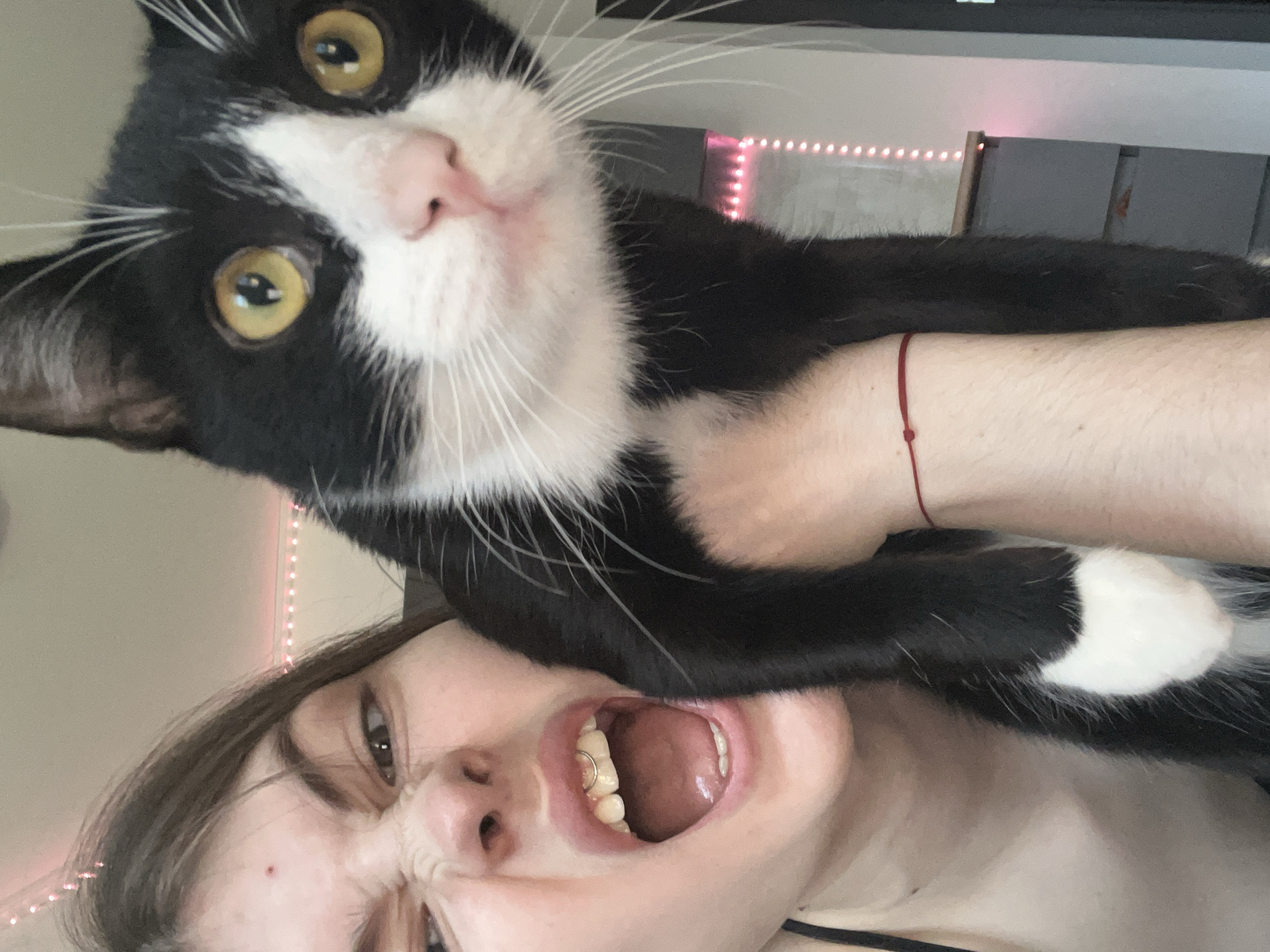 A selfie-style photograph captures a woman holding a black and white cat close to her face. The woman is looking upward, her face contorted with her mouth wide open, exposing her teeth. The cat is positioned above her face, looking downward with its eyes wide and alert. A red string bracelet is visible on the woman's wrist. In the blurred background, a string of pink lights is discernible along with the edge of what appears to be furniture. The location is not identifiable as Saint Petersburg, Russia.