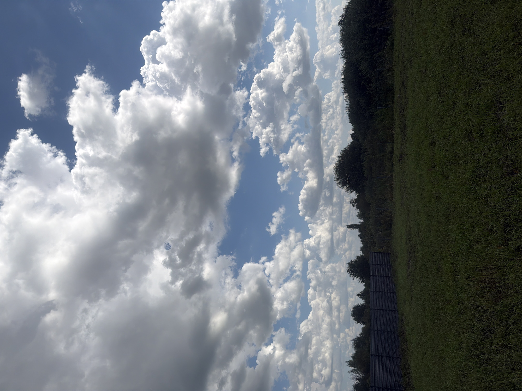 The image depicts a rural landscape, likely on the outskirts of Golubevo, Russia, under a partially cloudy sky. In the foreground, a patch of green grass, appearing somewhat unkempt, stretches across the frame. A dark, corrugated metal fence runs horizontally across the middle ground, separating the grassy area from a dense line of trees and shrubs that forms the background. The sky above is a mixture of bright blue patches and large, dramatic white and gray clouds, suggesting dynamic weather conditions. No people or specific structures beyond the fence are visible.