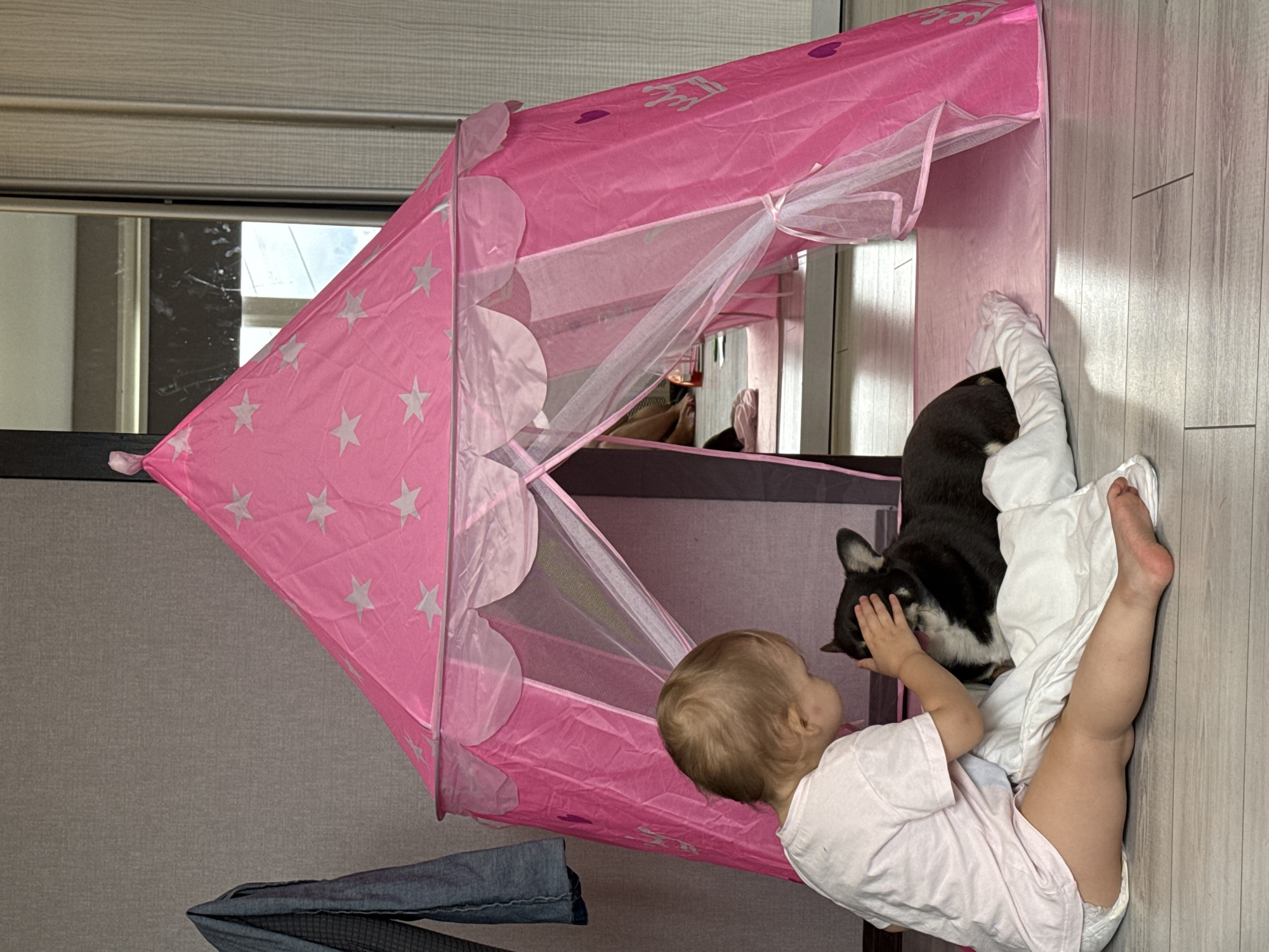 In this image, a baby is playing with a black and white dog inside a pink star-patterned play tent. The baby, facing away from the camera, wears a light pink t-shirt and a diaper. The dog is lying on a white blanket, with its head and front paws visible. The baby's right hand is gently touching the dog's face. The play tent is set up on a light-colored wooden floor. In the background, a mirror reflects a window with natural light coming through, suggesting it's daytime. The setting appears to be indoors, likely a living room or playroom. The overall mood is playful and tender, highlighting the interaction between the baby and the dog. The image context indicates the location is Moscow, Russia. There is no visible text in the image.