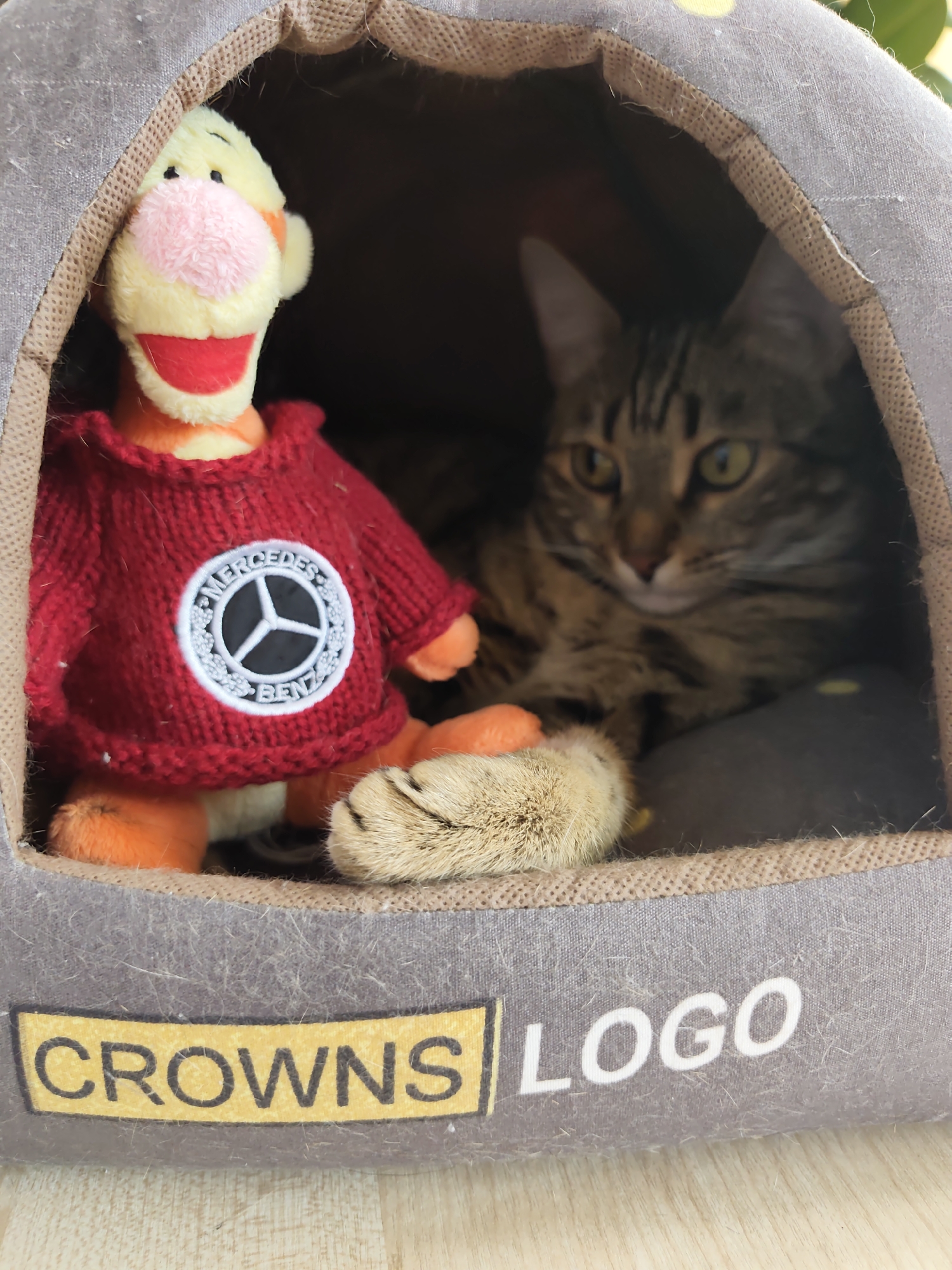 A plush toy with orange limbs and a yellow head, featuring a pink nose, a wide red smile, and black eyes, is wearing a red knitted sweater with a white circular logo containing a three-pointed star inside a circle. The toy is positioned inside a pet bed. A tabby cat with green eyes and dark stripes is looking out from behind the toy. The pet bed is made of grey fabric with a brown trim and features the words "CROWNS" and "LOGO" printed on the front. The scene appears to be indoors, with a light-colored wooden surface visible below the pet bed. There is no information to place this image in Dzerzhinsk, Russia.