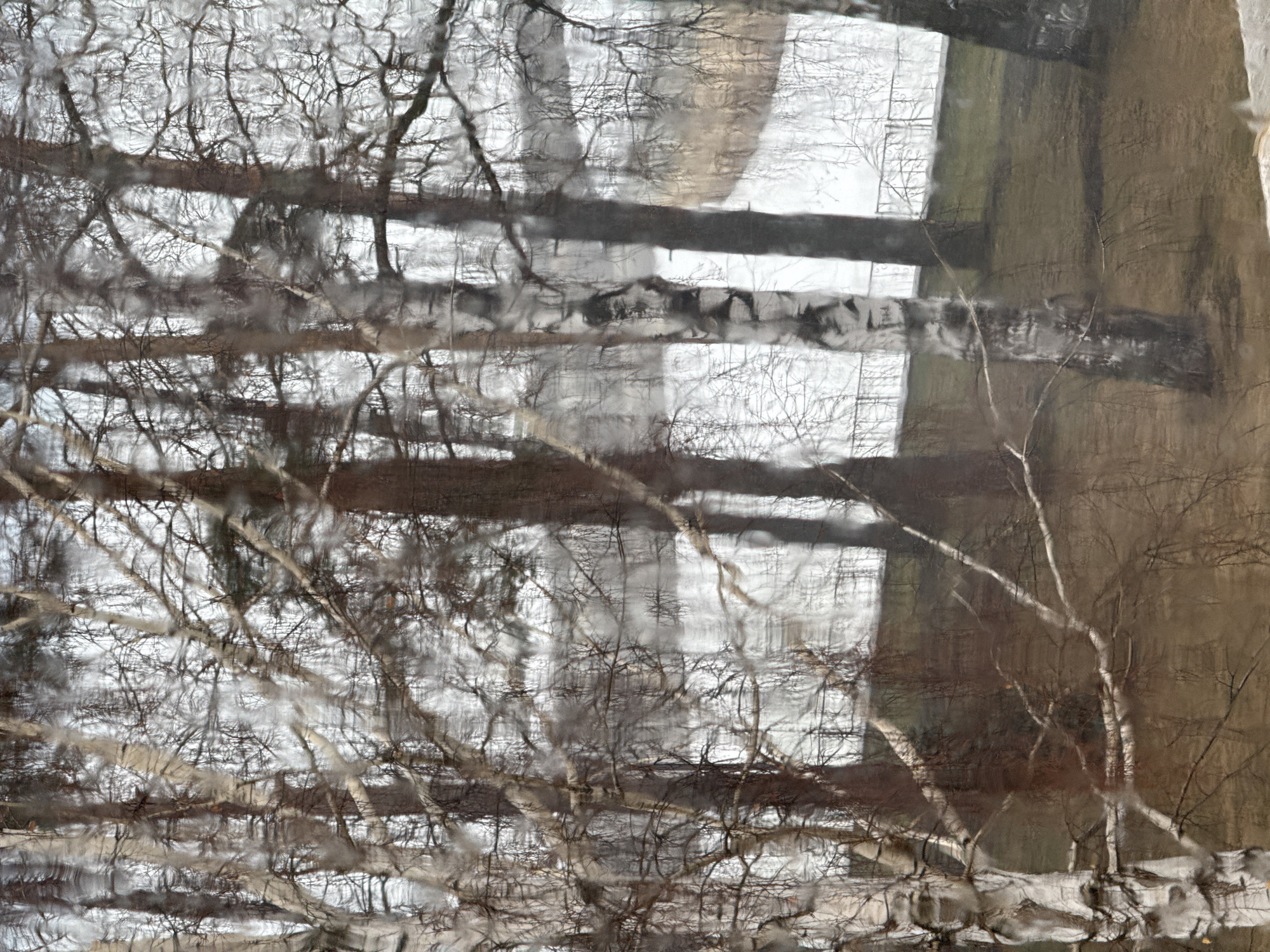 The image appears to be a reflection in water, possibly a river or lake. The reflection shows bare trees and what seems to be a building with rectangular openings, possibly windows or architectural features. The reflection is distorted by the water's surface, creating a blurred and fragmented appearance. The colors are muted, with tones of brown, gray, and white predominating. The location in the city of Unknown, Unknown is not discernible from the image.