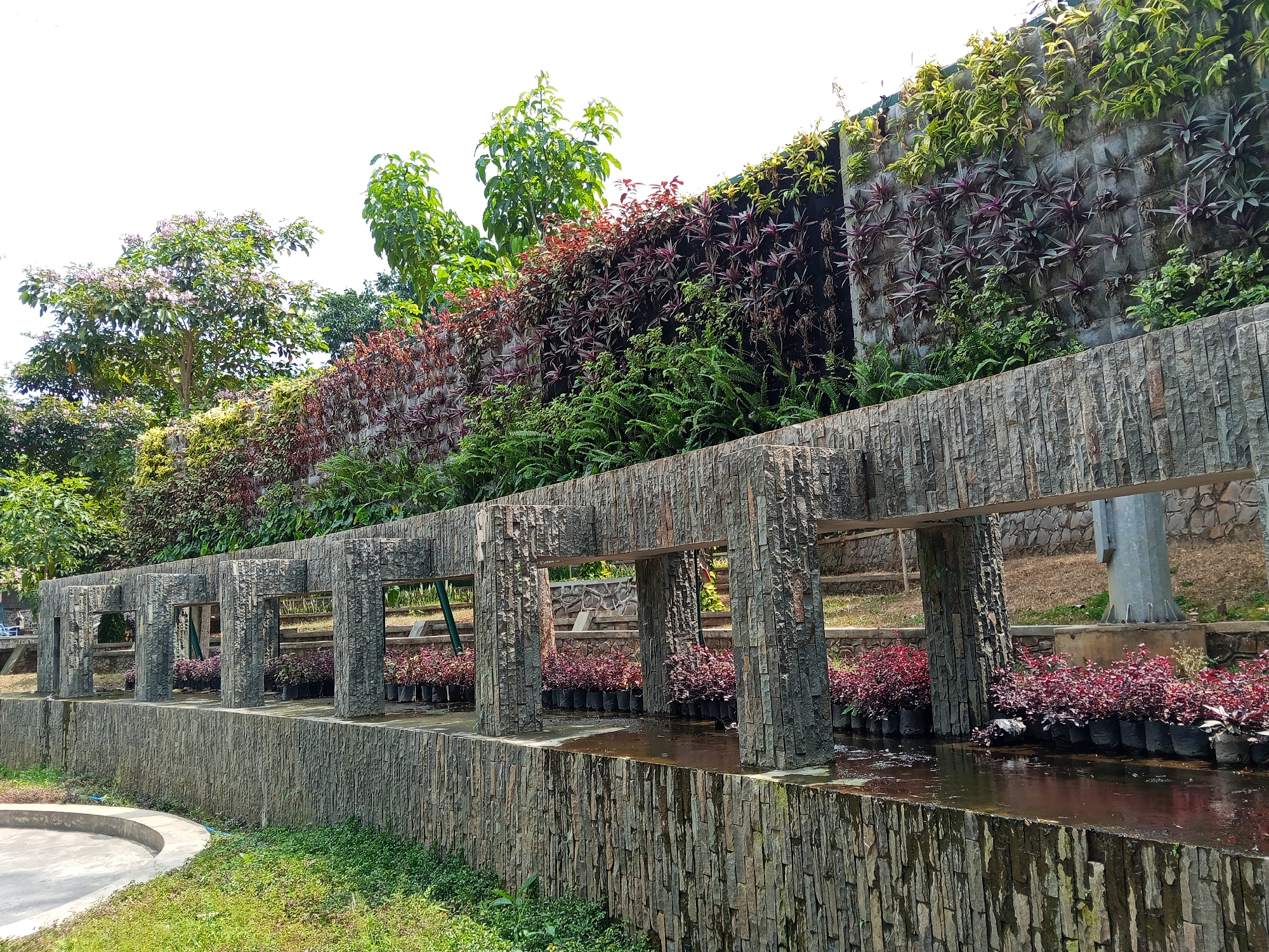 The image shows a beautifully designed garden with a water feature. A wall covered in a variety of plants, including flowering shrubs and greenery, forms the backdrop. In the foreground, a stone structure with rectangular openings overlooks a shallow water channel. Along the edge of the channel, numerous potted plants with red and purple foliage are arranged. The overall scene suggests a well-maintained public garden or park. This garden is located at Dipati Ukur Park in Semarang, Indonesia.