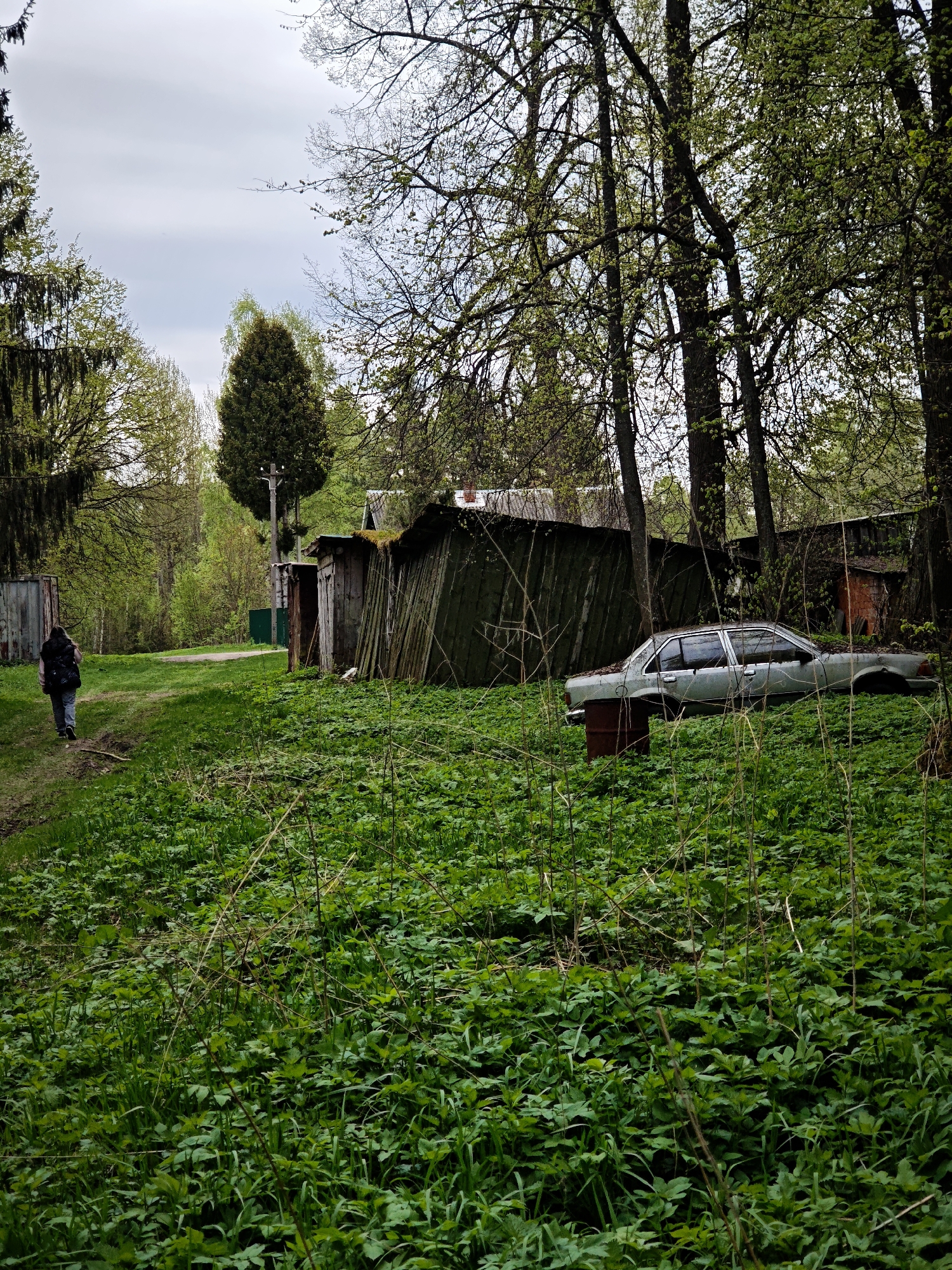A full shot reveals an abandoned car resting on a rusty barrel in Spas-Ugol, Russia. The setting is overgrown with green foliage, partially obscuring the vehicle. Behind the car stand weathered, wooden sheds and trees, with an individual walking along a path in the distance. The sky is overcast.