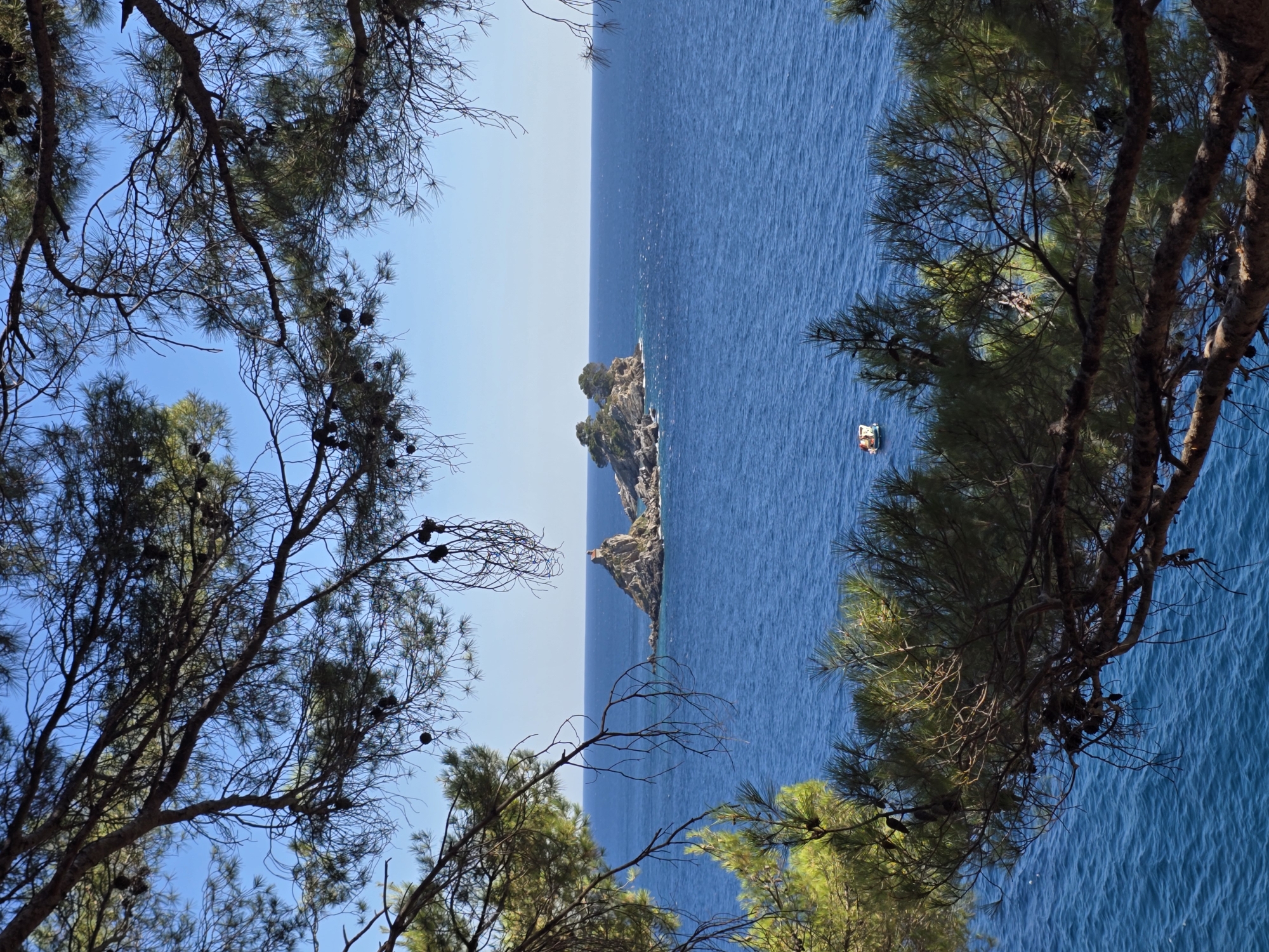 The image captures a scenic view of the Adriatic Sea with a small island in the distance, framed by the branches of pine trees. The island, known as Sveti Stefan or the nearby island in Petrovac na Moru, appears rocky and is topped with lush green trees. The water is a deep, vibrant blue, reflecting the clear, bright sky. A small white boat with orange accents is visible on the water, adding a touch of human presence to the tranquil scene. The foreground is dominated by the textured bark and needles of the pine trees, creating a natural, organic frame for the seascape. This vantage point suggests a location on the coast of Petrovac na Moru, Montenegro, likely from an elevated position overlooking the sea and the iconic island.