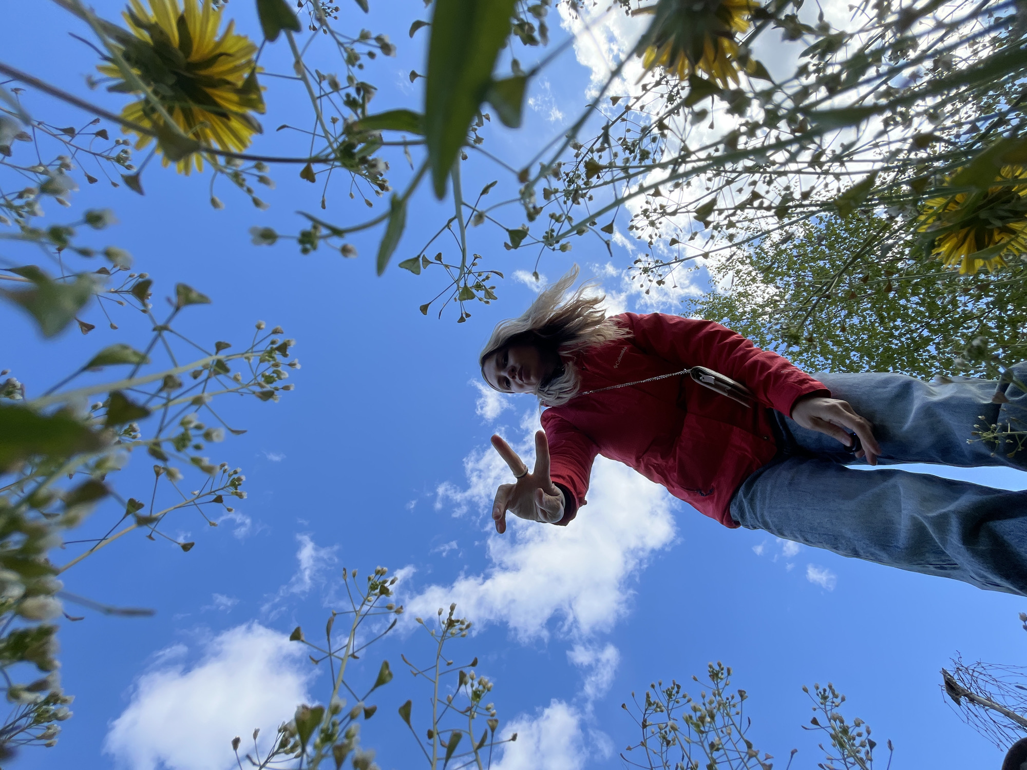 The image is taken from a low angle, looking up at a woman in a red jacket and blue jeans. She is giving a peace sign with her right hand. The background is a bright blue sky with scattered white clouds. There are flowers and plants in the foreground and around the edges of the frame, partially obscuring the view of the sky. The location is in a field in Chaikovsky, Russia. The woman is standing in the field, looking down at the camera. She is wearing a jacket and jeans, and has long hair.