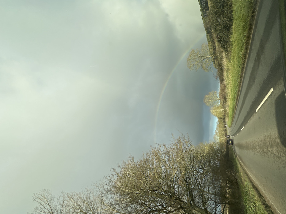 The image depicts a rural road scene during a period of mixed weather, likely within the Breckland District, United Kingdom, though a precise location is not visually identifiable. The asphalt road appears wet, suggesting recent precipitation, and features white dashed lane markings, curving gently to the right as it recedes into the distance. Two dark-colored vehicles are observed driving away from the viewer on this road. To the left, a dense line of bare deciduous trees flanks the roadside. On the right, the environment consists of grassy verges, scattered bare trees, and a low, partially treed hill. A distinct rainbow is prominently visible, arcing across the sky from the left mid-ground towards the upper right, set against a backdrop of varying grey and light clouds. No individuals are visible.