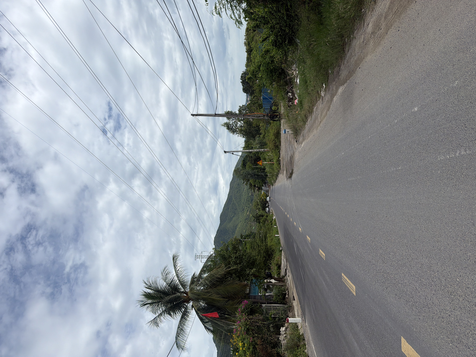 The image depicts a paved road in a rural or suburban area of Nha Trang, Vietnam. The road is lined with vegetation, including trees and bushes, and stretches towards a distant mountainous landscape under a cloudy sky. Overhead, numerous power lines are strung between utility poles, creating a dense network across the sky. A few cars are visible driving on the road in the distance. On the left side of the road, a tall palm tree stands prominently, adorned with a red flag. The environment suggests a tropical climate, common in Vietnam. There are no people clearly visible in the foreground or middle ground, and no specific landmarks to pinpoint an exact location within Nha Trang.