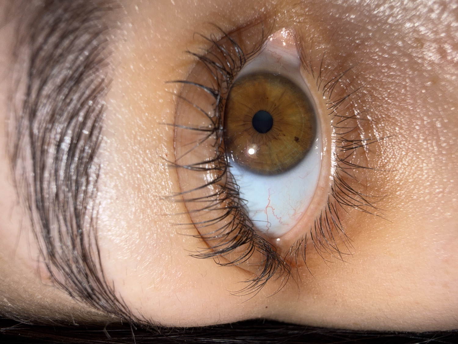 A very close-up, macro shot captures the left human eye of an individual in Votkinsk, Russia. The eye is angled, looking slightly upwards and to the right. The prominent subject is the iris, which is a striking hazel or light brown color, exhibiting intricate patterns and variations, including distinct brown and greenish-yellow tones. A small, dark mole or spot is visible on the iris at approximately the 5 o'clock position relative to the pupil. The pupil is round, black, and appears centrally located.
The white sclera of the eye is visible, particularly towards the bottom and left, and shows several distinct, thin red blood vessels. Long, dark eyelashes frame both the upper and lower eyelids, appearing enhanced, possibly with mascara or extensions, and casting subtle shadows on the surrounding skin. A thick, dark eyebrow is partially visible on the far left side of the frame, slightly out of focus.
The skin around the eye appears to be of a light to medium tone, showing some texture and subtle reflections, suggesting moisture or natural oils. A bright, distinct reflection is present on the lower part of the iris, indicating a light source, with another smaller reflection above the pupil. The overall impression is one of detailed observation of the intricate features of the human eye. No visible text is present in the image.