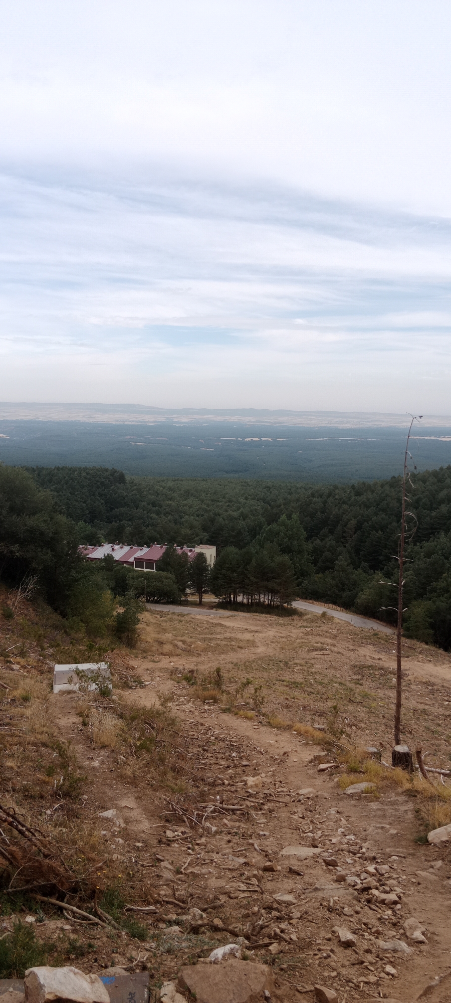 The image depicts a panoramic view from a hillside overlooking a vast expanse of dark green coniferous forest. In the mid-ground, a cluster of buildings with red tiled roofs and white walls is nestled amongst the trees, suggesting a development or facility. A winding road leads towards these structures, disappearing into the dense foliage. The foreground consists of a dry, reddish-brown dirt path littered with rocks, fallen branches, and sparse, dry vegetation. A tall, thin, bare tree trunk stands prominently on the right side of the foreground, its stump visible at the base. The sky above is a pale blue with thin, wispy white clouds, suggesting an overcast or hazy day. The distant horizon shows a hazy, lighter colored landscape, indicating a broad, open area beyond the forest. The overall scene suggests a natural, somewhat rugged environment, possibly in a rural or mountainous region. Based on the location provided, this image is likely taken in the vicinity of Cerezo de Arriba, Spain.