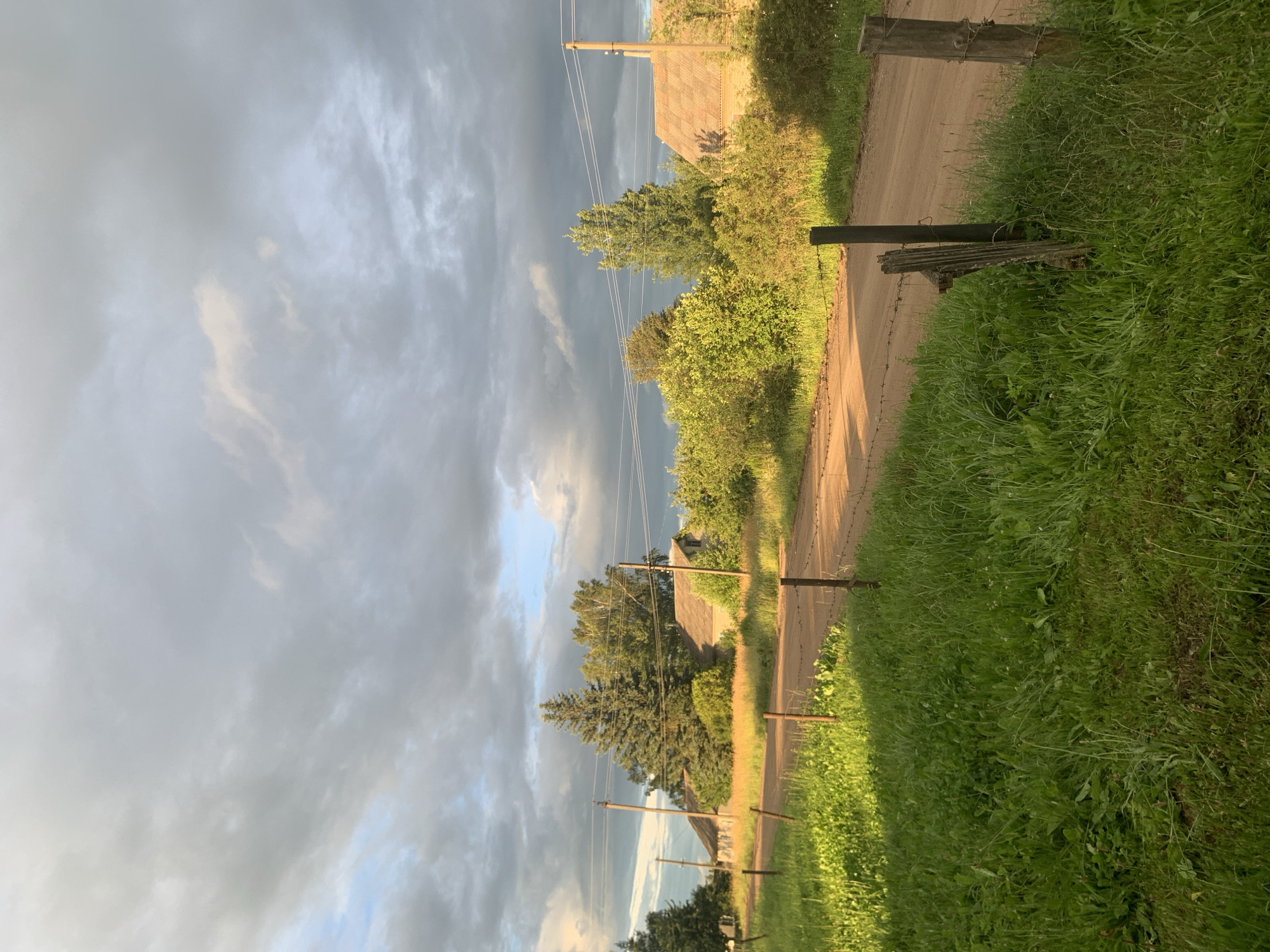 The image depicts a rural scene in the village of Vidzy, Vidzy Rural Council, Belarus, during late afternoon or early evening. A dirt road runs diagonally through the frame, bordered by a barbed wire fence and lush green grass on the left. On the right side of the road, a rustic wooden fence post is visible.
In the background, several houses with tiled roofs are nestled among dense green foliage and trees. Notably, a tall evergreen tree stands prominently near the center of the frame. Power lines stretch across the sky, supported by utility poles. The sky is overcast with dramatic clouds, but patches of blue sky and sunlight break through, casting a warm glow on the landscape, particularly on the grass and the road. The overall atmosphere is tranquil and suggestive of a rural summer evening. There are no people or animals visible in the image.