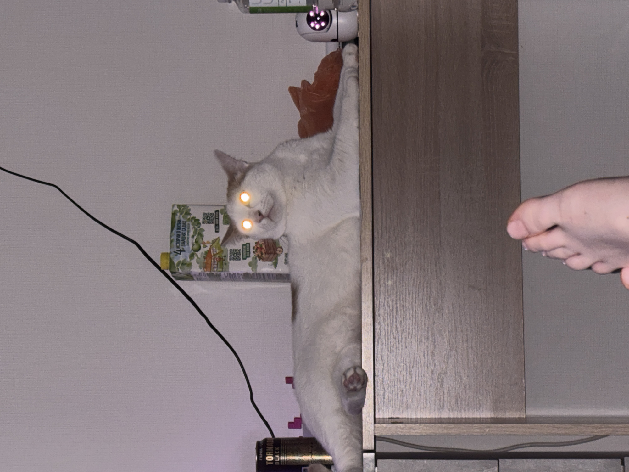 A white and brown cat with glowing orange eyes is lying on a wooden shelf. To the left of the cat, there is a can of "TORNADO BLACK" energy drink. Behind the cat, there is a carton of juice with images of apples and pears. To the right of the cat, there is an orange plush toy and a white security camera. A human foot is visible in the foreground, suggesting the photo was taken from a low angle. The background is a plain white wall. The scene is indoors, likely in a bedroom or living area. The location in Sinyavino, Russia is not discernible from the image itself.