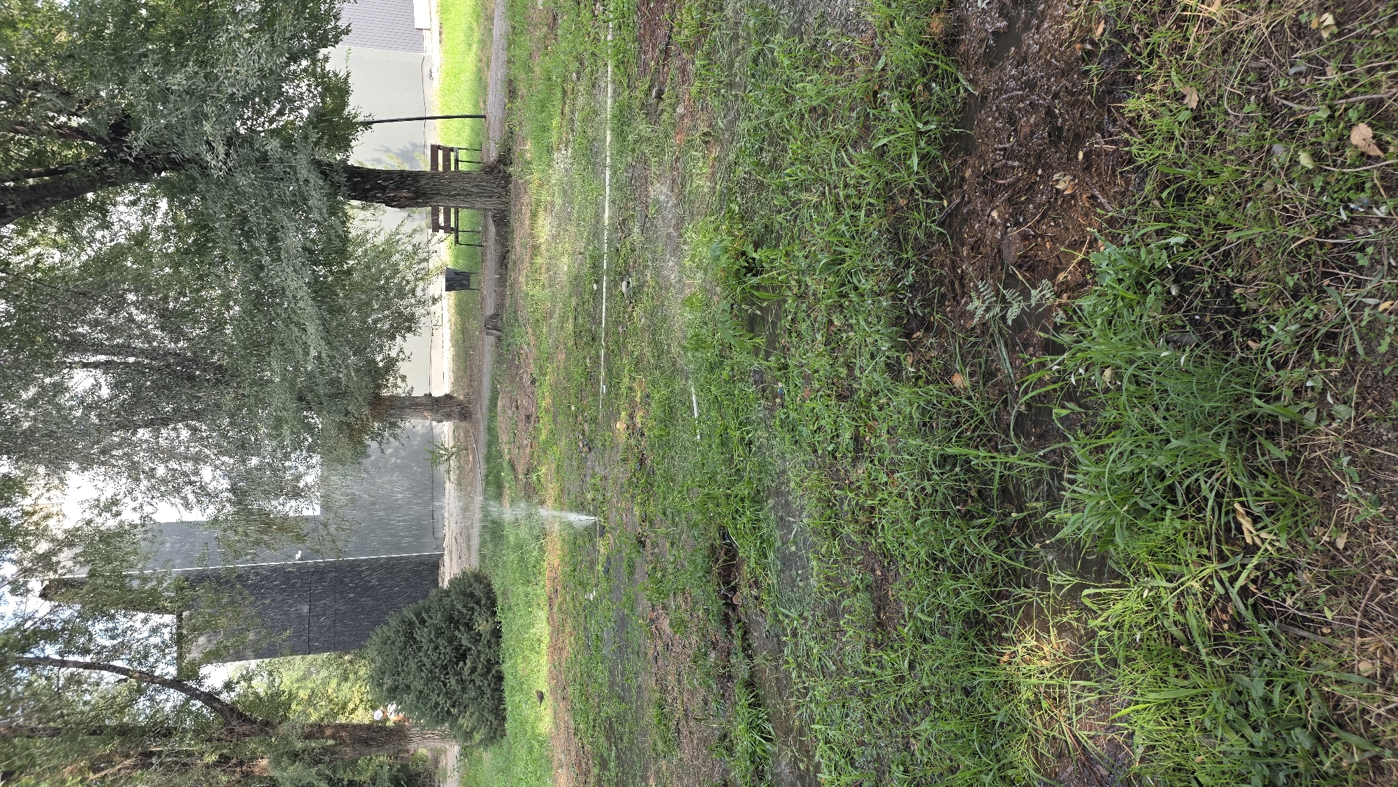 A park area in Tokmok City, Kyrgyzstan, is shown with a sprinkler watering the grass and creating puddles in the foreground. A large, dark, angular structure stands to the left, with trees and a bench visible in the background. The ground is covered in grass and dirt, with fallen leaves scattered about. The sky is visible through the trees, indicating it is daytime.
