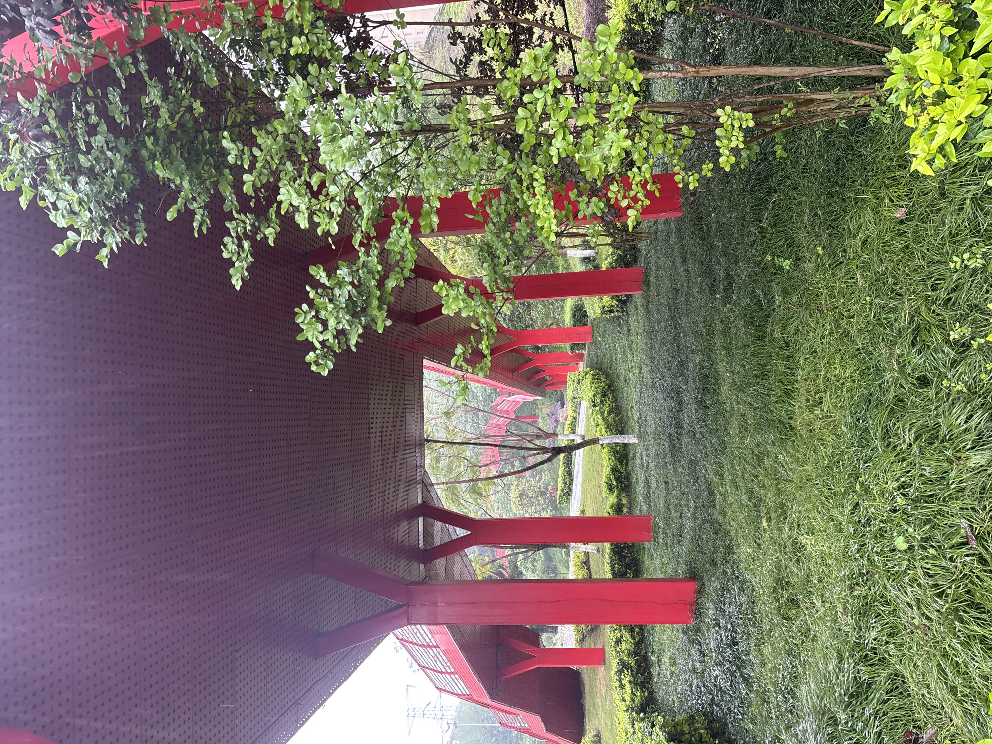 The image shows a section of a red, covered walkway in Jiangjin, China. The walkway is supported by red pillars and has a dark, perforated roof. Lush green grass and trees surround the walkway, with some foliage partially obscuring the structure. The sky is overcast, and the lighting is muted. The image is oriented vertically, giving a sense of depth to the perspective of the walkway extending into the distance.