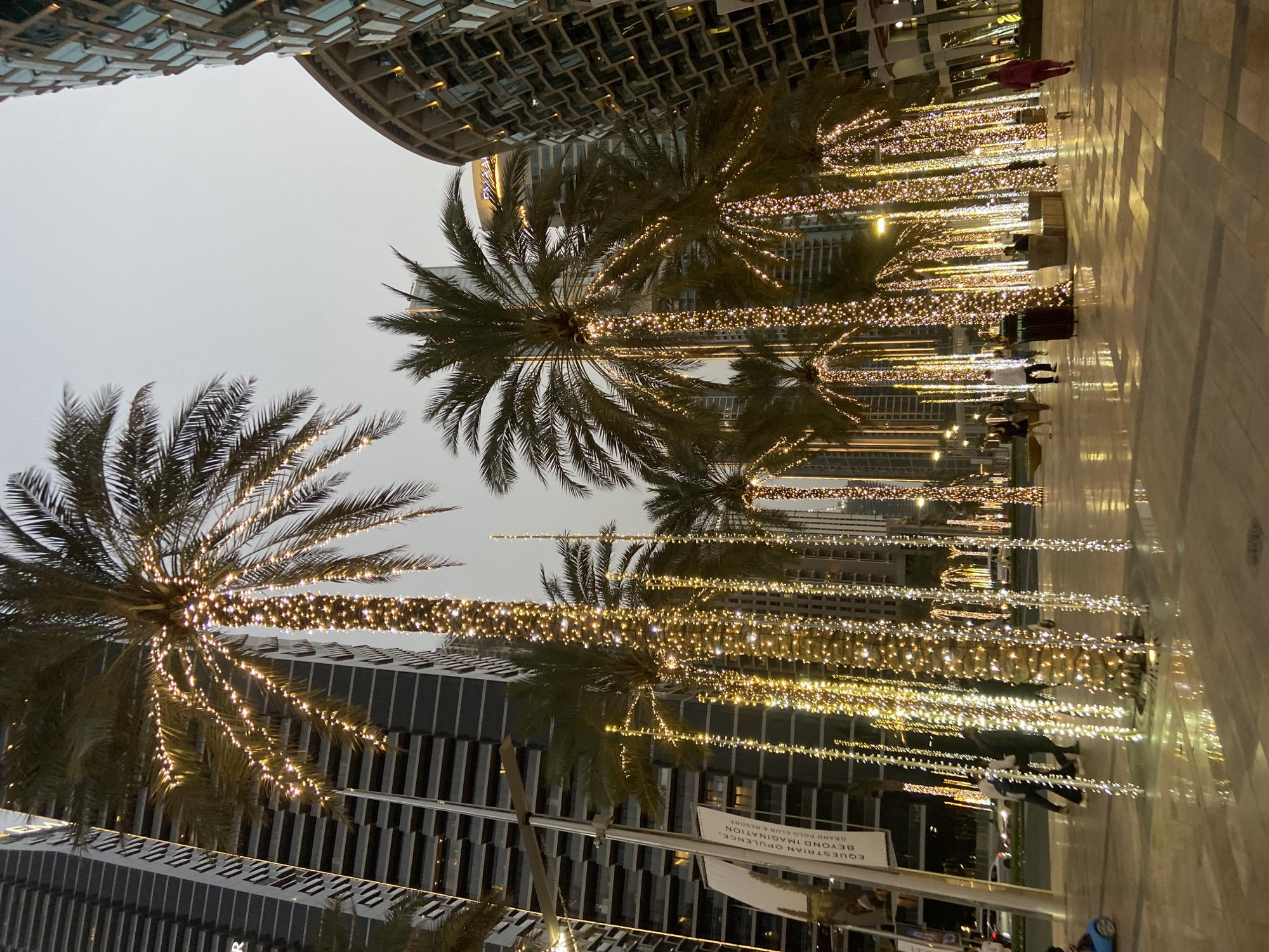 The image captures a street scene in Dubai, United Arab Emirates. The camera is pointed upwards, showcasing rows of palm trees lined along a pedestrian walkway. Each palm tree is decorated with strings of small, warm-toned lights wrapped around its trunk, creating a visually striking effect. Several buildings of modern architecture surround the palm trees, with facades of glass and metallic elements. The sky is overcast, suggesting either dusk or a cloudy day. People are walking on the walkway, implying public activity. A sign, likely advertising a nearby establishment, is visible near the bottom of the frame. The ground appears to be paved with light-colored tiles or stones, with light reflections.