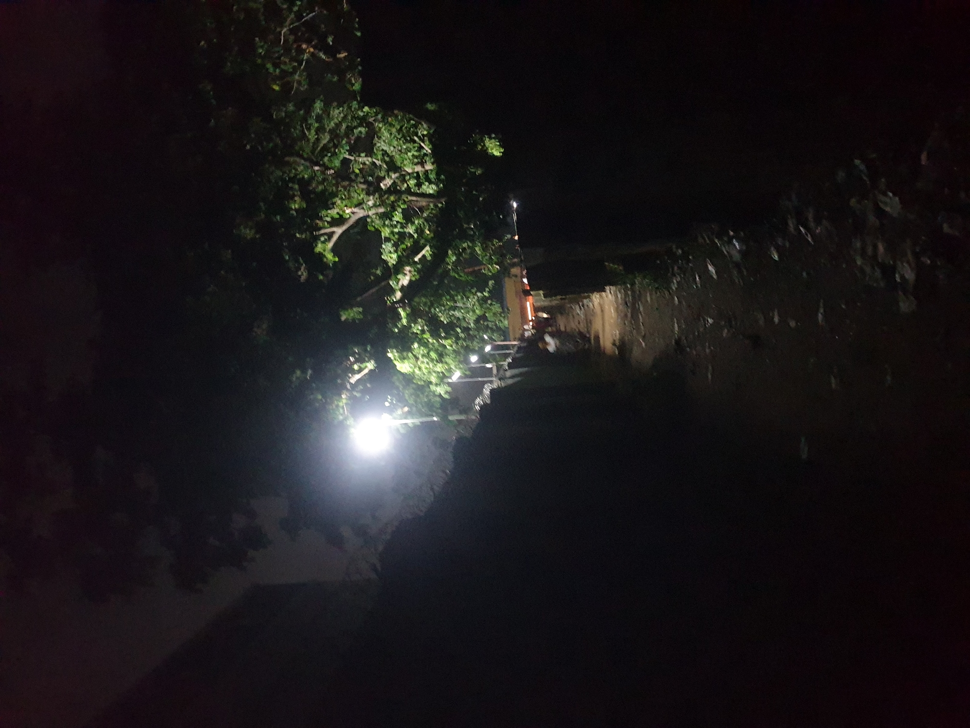 The image depicts a narrow, unpaved alleyway at night. A bright, overhead streetlamp illuminates the scene, casting strong shadows and highlighting the lush green foliage of a large tree in the background. The alley is flanked by dark, low walls, possibly made of brick or stone. The ground is covered in dirt and scattered debris, suggesting neglect or a lack of regular maintenance. In the distance, there are faint indications of structures and possibly a few indistinct figures, but they are too obscured by darkness and distance to be clearly identified. The overall atmosphere is somewhat somber and enclosed, with the artificial light creating a stark contrast against the natural darkness.