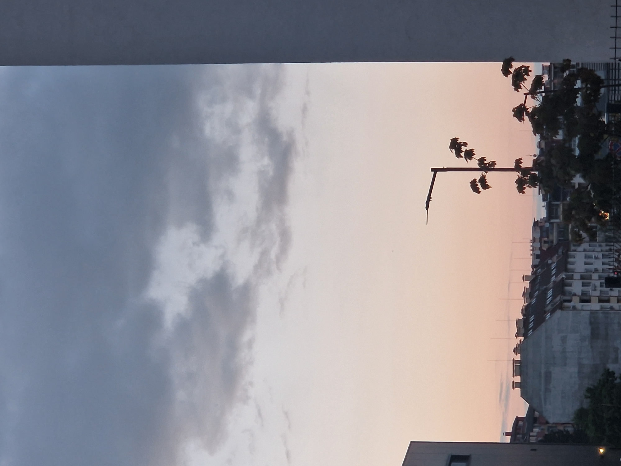 The image, when viewed in its correct landscape orientation, presents an urban or suburban twilight scene framed by a dark, solid grey architectural element, possibly a ceiling or overhang, across the top. The sky dominates the view, transitioning from a cloudy, grey-blue on the left to a warm, peachy-pink on the right, suggesting either sunrise or sunset. Several soft, grey and white clouds are scattered across the left and central parts of the sky.
Silhouetted against the lighter sky are typical city elements. A dark street light pole with a single downward-curving arm is prominent in the mid-right. To its right, the dense, dark foliage of a tree extends into the frame, its individual leaves clearly discernible. Along the horizon, a dark silhouette of multiple buildings forms a cityscape, showcasing various rooflines and architectural details. Several thin, vertical antenna-like structures rise from the rooftops of these buildings. A darker mass of trees is visible at the bottom right, bordering the urban structures.
The scene captures a peaceful moment at dusk or dawn, with no specific activity or people visible. The notable features are the striking color gradient of the sky, the prominent silhouettes of the street light and tree, and the detailed but darkened cityscape. There is no visible text in the image.