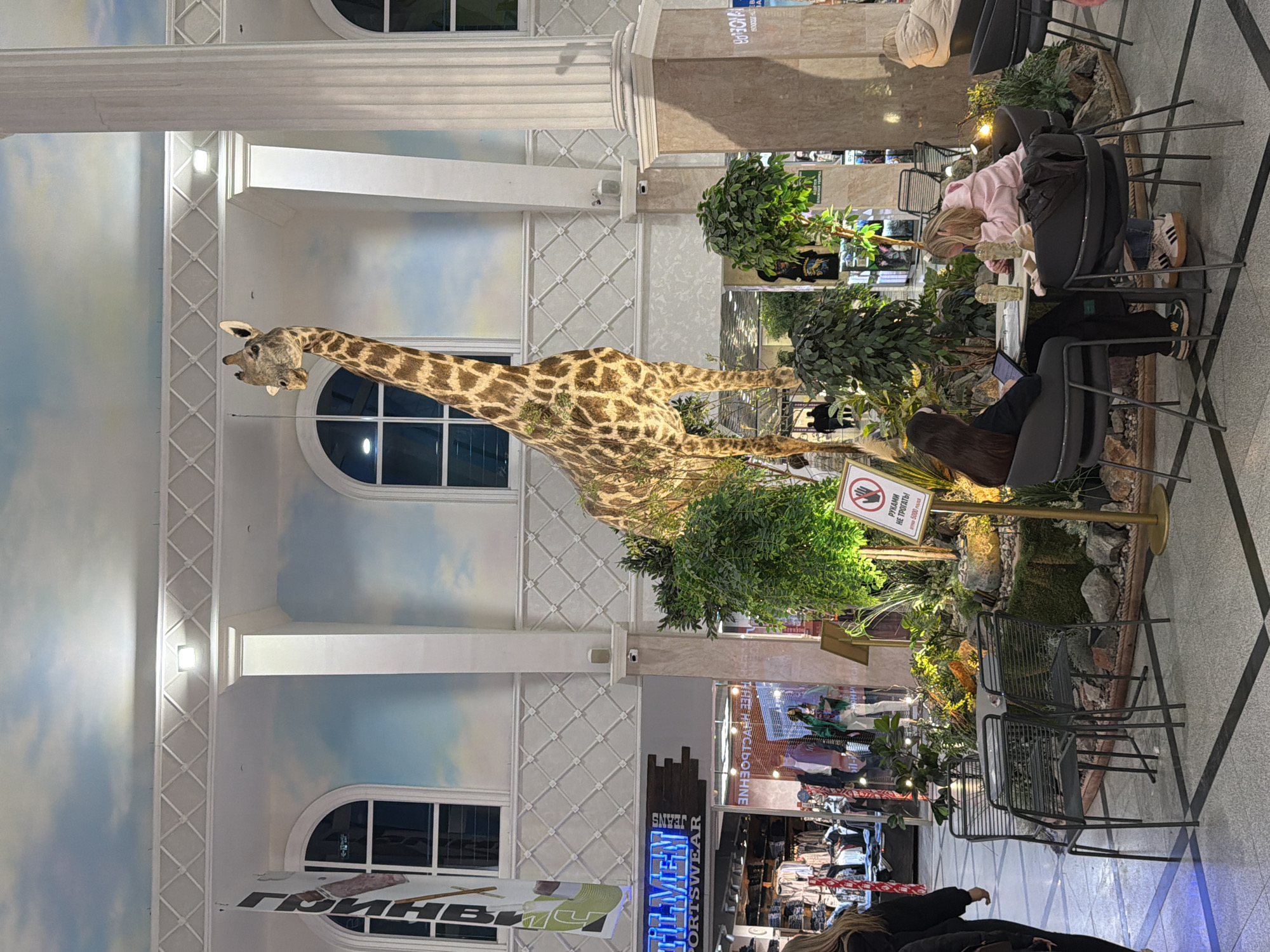 This image captures an indoor scene, likely within a large shopping mall or commercial complex in Yekaterinburg, Russia. The setting features a blend of grand architecture and natural-themed elements, creating a unique atmosphere.
The most striking subject is a large, lifelike giraffe statue or taxidermy, positioned prominently in the center. Its patterned coat is highly detailed, and it stands amidst artificial green foliage and rocks, suggesting an savanna or outdoor theme.
Several individuals are present, seated at tables in a designated resting or cafe area. One person in a pink top is leaning forward at a table, while another with long dark hair is seen using a laptop. A third person is partially visible in the foreground. They appear to be relaxing or engaged in quiet activities.
The architectural style is notable, featuring tall white columns with decorative capital moldings, intricate diamond-patterned wall panels, and large arched windows. Beyond these windows, the walls are painted with a sky-and-cloud mural, creating an illusion of an expansive outdoor vista. Bright light fixtures are embedded in the ceiling and walls.
In the background, various storefronts are visible, displaying clothing and other goods, characteristic of a shopping environment. The floor is tiled with a contrasting pattern.
A prominent detail is a white sign next to the seating area, bearing a red circular "no" symbol. The text, written in Cyrillic, reads "РУКАМИ НЕ ТРОГАТЬ! штраф 5000 рублей," which translates to "DO NOT TOUCH WITH HANDS! fine 5000 rubles," indicating that the giraffe or surrounding decor should not be handled. Other visible text includes "ГРИНВЕЙ" (GREENWAY) on a banner and "MEN SPORTSWEAR" and "JEANS" on a shop sign.
The overall scene suggests a vibrant, well-maintained public space designed for leisure and shopping. The time of day appears to be daytime or early evening, given the bright interior lighting.