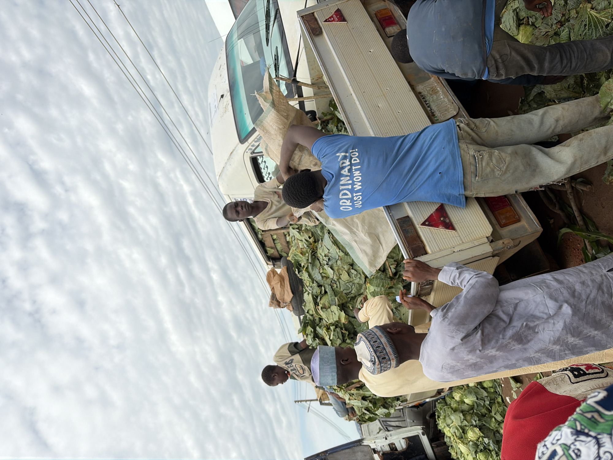 The image shows a group of people, mostly young men and boys, engaged in unloading a truck filled with large quantities of leafy green vegetables, likely cabbage. The scene appears to be taking place outdoors, possibly at a market or roadside, under an overcast sky. The truck bed is tilted, and the vegetables are spilling out. Some individuals are actively lifting and moving the produce, while others are observing or assisting. One person in a blue t-shirt with the slogan "ORDINARY JUST WON'T DO!" is prominently visible in the foreground, facing away from the camera. Another person in a grey traditional outfit and cap is to his left, and a boy in a light-colored shirt is positioned in the truck bed. The environment is somewhat cluttered with additional piles of vegetables and possibly other vehicles in the background, suggesting a busy trading or distribution point. The location is identified as Gura Top, Nigeria.