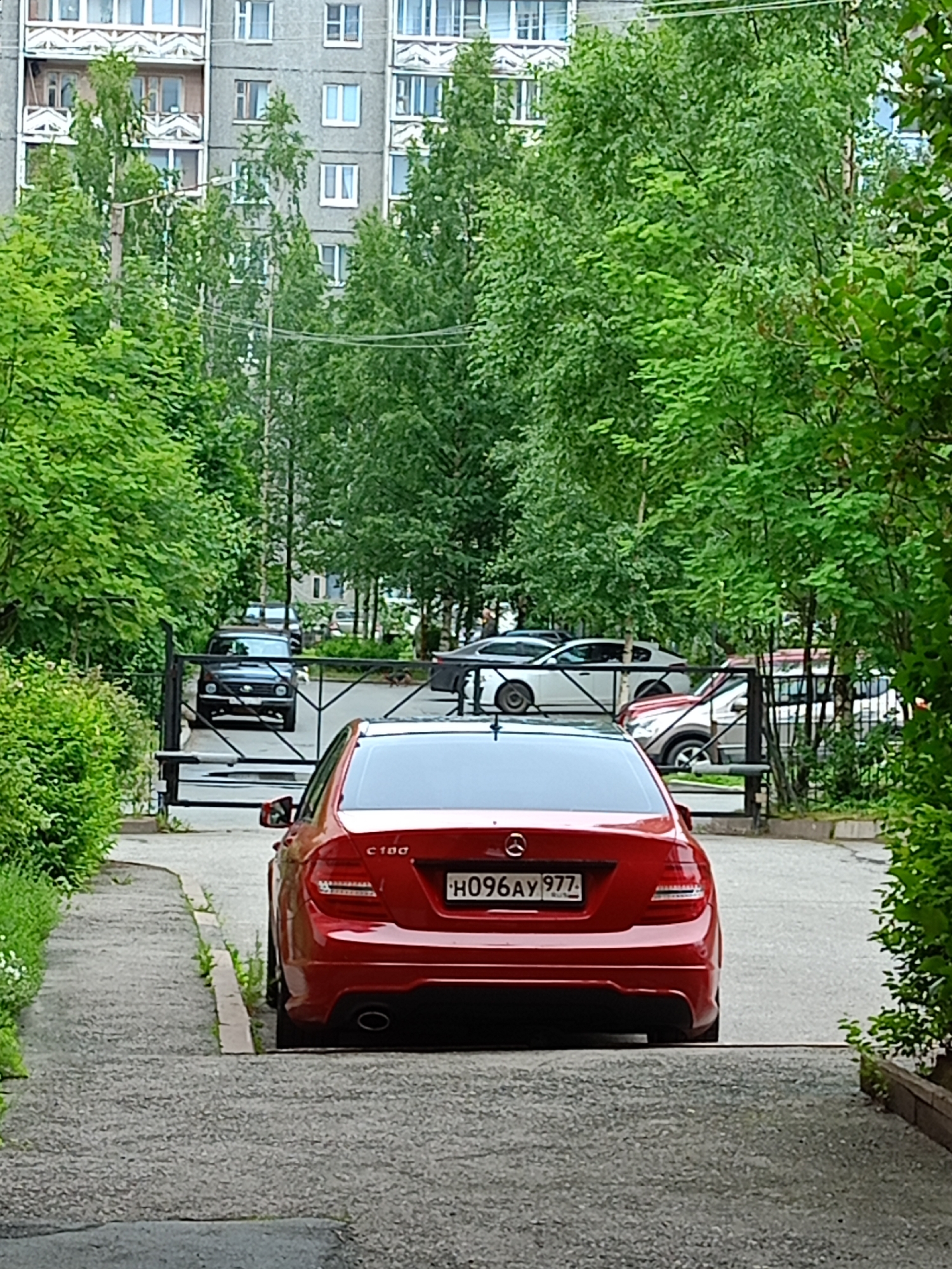 A red Mercedes-Benz C-Class sedan is parked on a paved area in front of a closed metal gate. The car's license plate reads "H096AY 977". Behind the gate, several other vehicles are visible, including a black SUV and a white sedan. The scene appears to be in a residential area with a multi-story building in the background, surrounded by lush green trees. The ground is covered in a textured gray asphalt or gravel surface, with a concrete curb running along the side of the red car. The lighting suggests it is daytime, possibly overcast given the soft shadows.