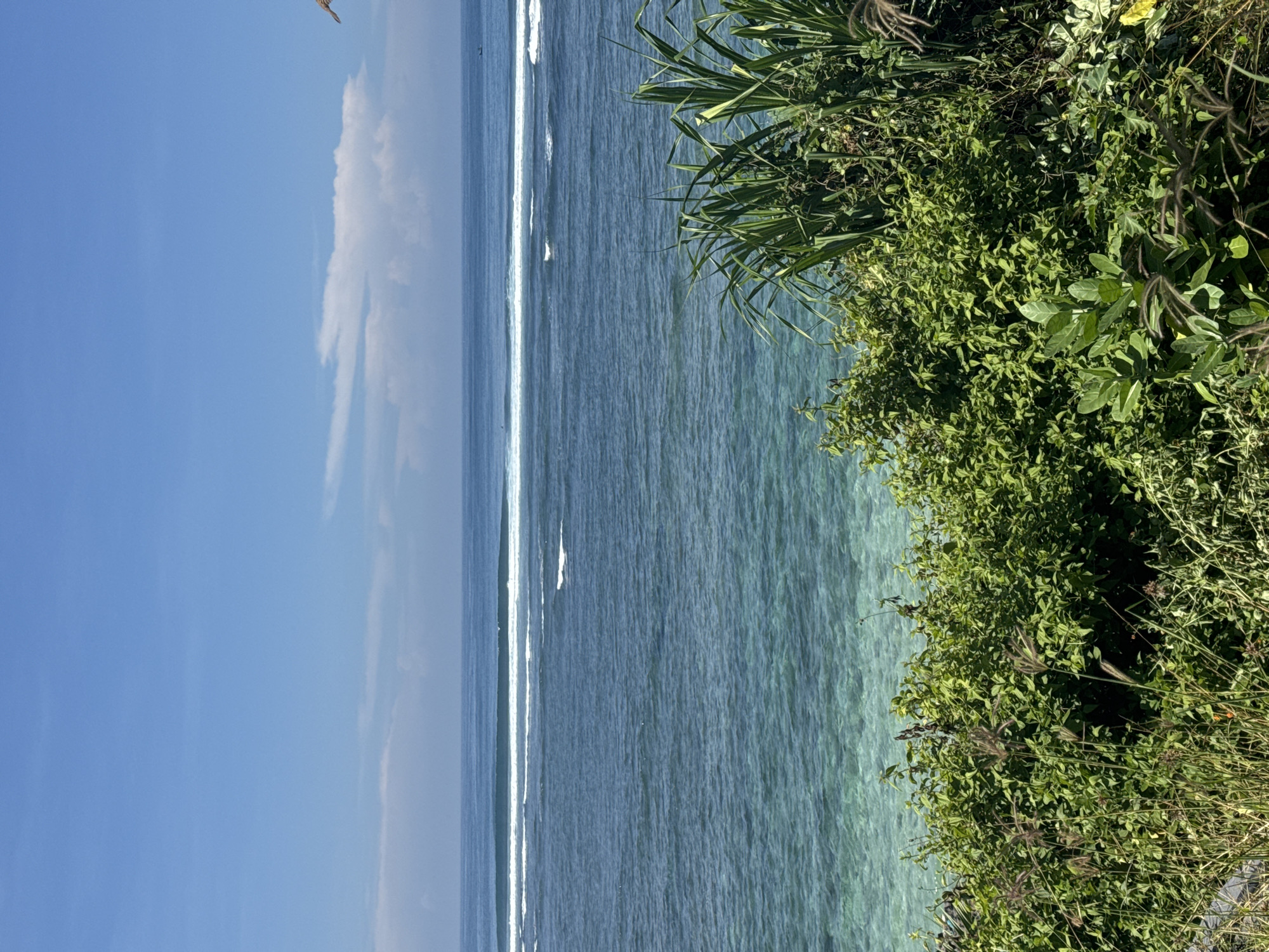 The image depicts a coastal scene. The sky is blue with some scattered white clouds. The ocean is visible, with clear turquoise waters near the coast transitioning to a darker blue further out. White waves line the horizon. On the right side of the image, there is lush green vegetation, including bushes and grass. The image is rotated 90 degrees counter-clockwise. The location is Unknown, Unknown.