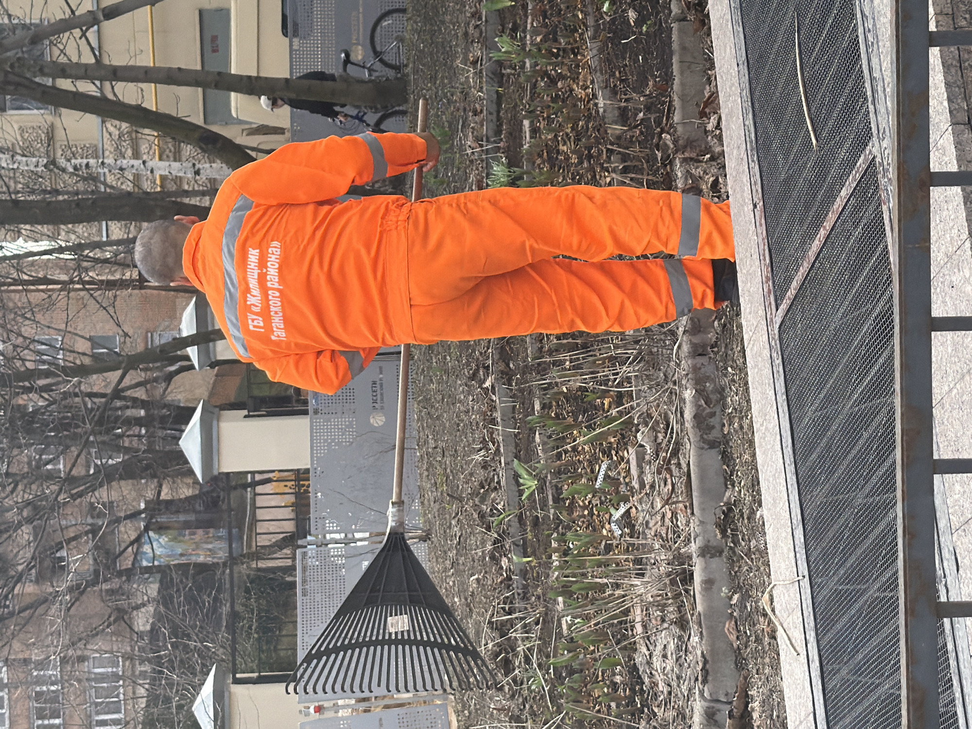 A street cleaner, wearing orange overalls with reflective stripes and the inscription "GSU Zhilchnik Tagansky district" in Russian on the back, is cleaning up fallen leaves with a rake. The location is in Moscow, Russia. The street cleaner is standing next to a metal fence. The surrounding environment includes trees without leaves, some green sprouts, and buildings.