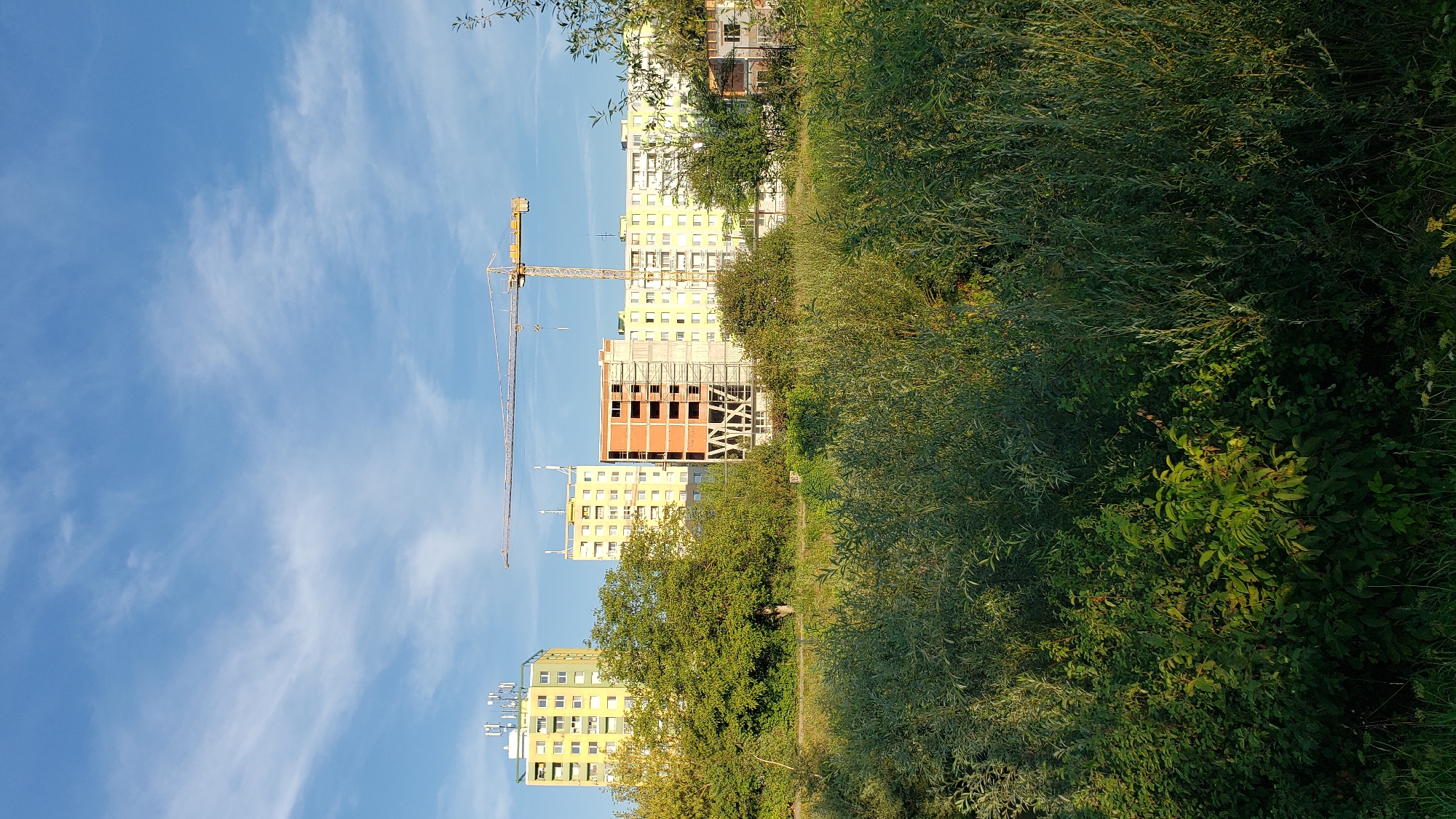 The image captures a construction site in Prešov, Slovakia, with several apartment buildings in various stages of completion. In the foreground, a dense area of green foliage and trees dominates the lower half of the frame. Behind the vegetation, a crane is actively engaged in construction, its yellow arm extending across the scene. Several apartment buildings are visible, some completed and painted in light yellow, while others are still under construction, with exposed brickwork and scaffolding. A bright blue sky with wispy clouds forms the backdrop. The overall scene suggests ongoing urban development in a semi-natural setting.