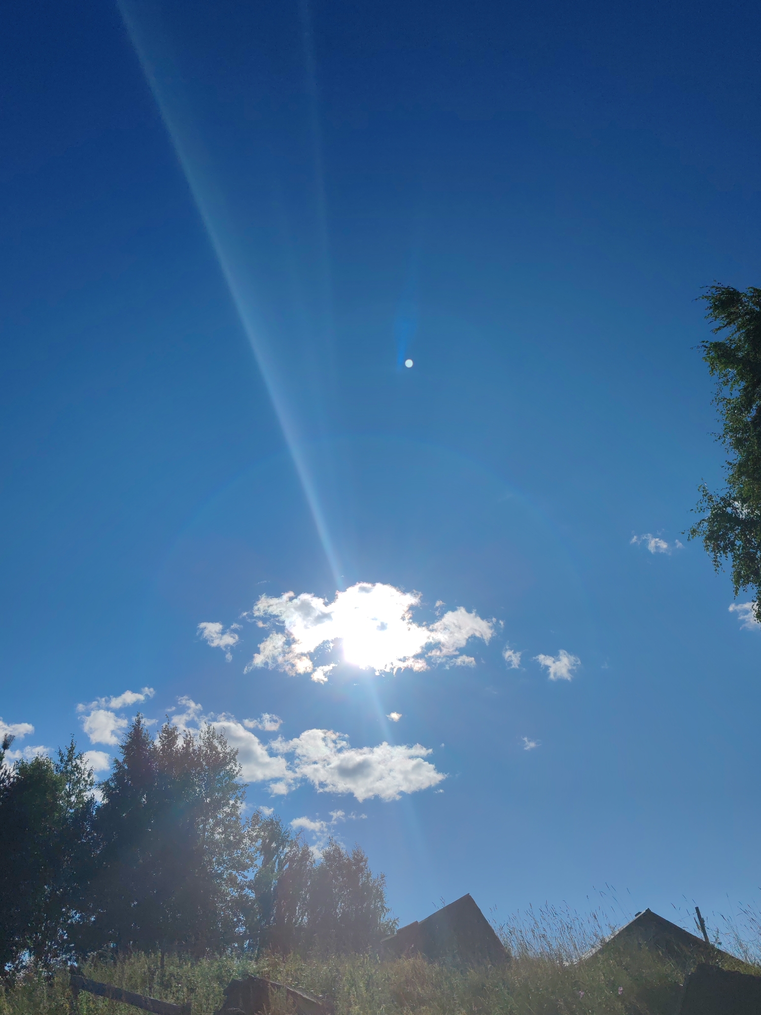 The image captures a clear, bright blue sky with a few scattered white clouds. Sunlight streams down, creating prominent rays and a visible lens flare, a subtle rainbow-like arc. In the distance, a small, bright object, possibly the sun or moon, is visible. The lower portion of the image features a silhouetted line of trees and the rooftops of what appear to be old, rustic buildings, possibly in a rural setting. The ground is covered in tall, dry grass and vegetation, suggesting a natural, unmanicured environment. The scene seems to depict a peaceful, sunlit day in a natural or semi-rural location.