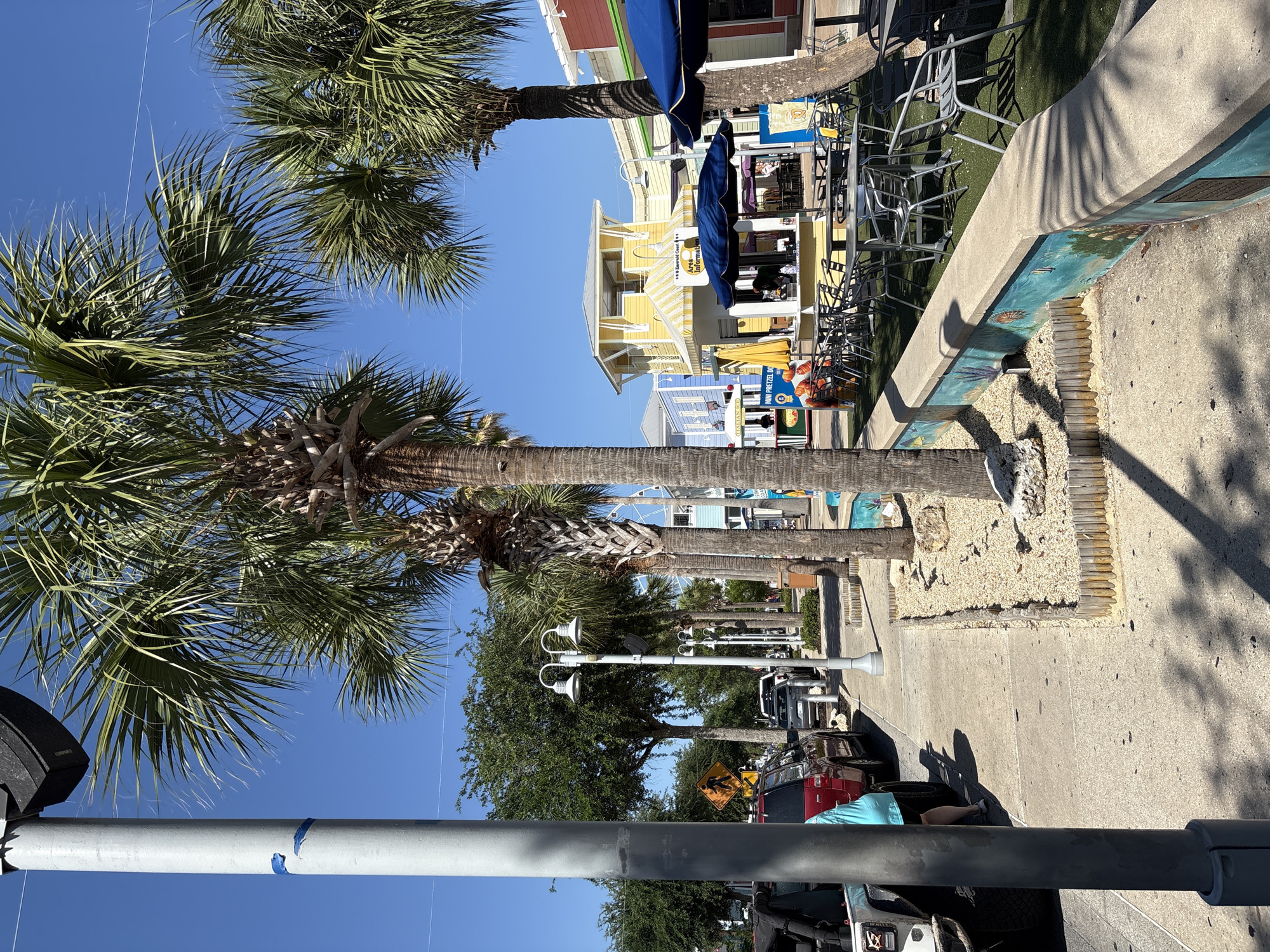 This image shows a street scene in Panama City Beach, Florida, United States. The view is along a sidewalk lined with palm trees and businesses on one side, and parked cars and streetlights on the other. Several palm trees are visible along the sidewalk, casting shadows. On the business side, there is a low concrete retaining wall with a decorative mural and gravel area. Tables and chairs are set up near the businesses, some shaded by blue umbrellas. Buildings are painted in bright, varied colors, including yellow and blue. Cars are parked along the street side of the sidewalk, and a streetlight pole is visible in the foreground. A person wearing a blue shirt is visible near a white vehicle. A pedestrian crossing sign is also present. The sky is clear and blue.