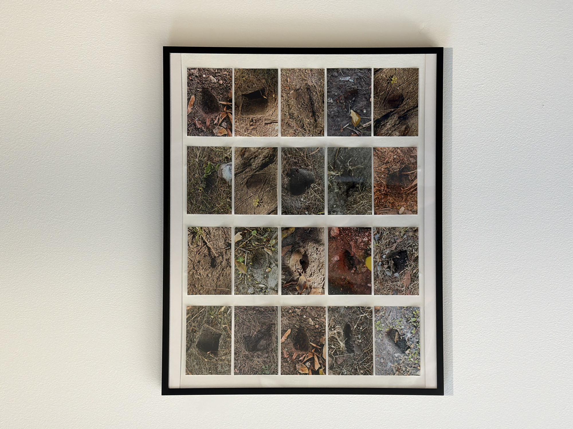 A framed collage of 20 small photographs hangs on a white wall. The frame is black with a thin white border between the photos and the black frame. Each photograph shows a small hole in the ground, surrounded by various materials like soil, leaves, twigs, and grass. The holes appear to be of similar size and shape. The location is Unknown, Unknown.