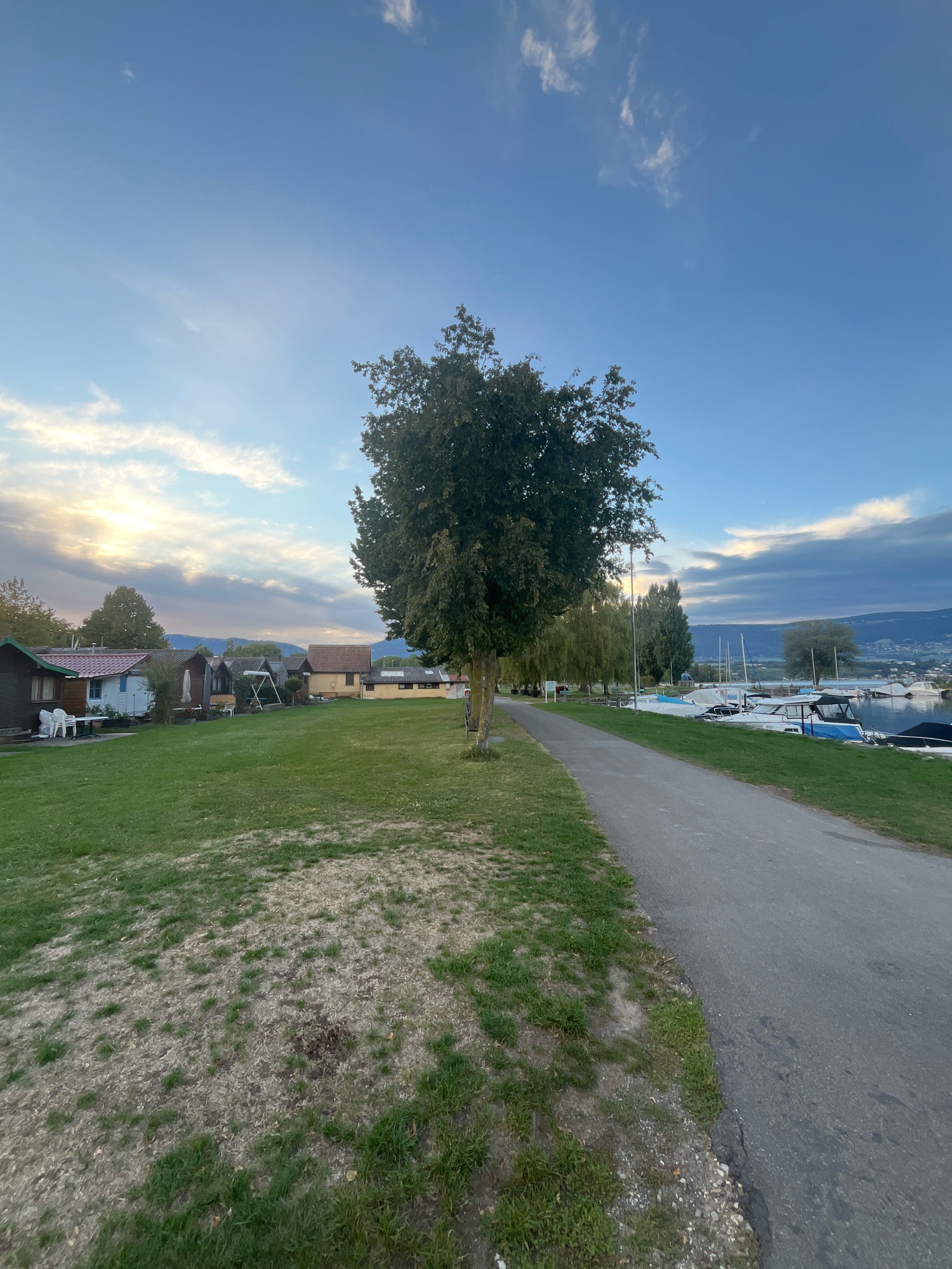 The image depicts a scene in Yverdon-les-Bains, Switzerland, likely along the lakefront. On the left side of the frame, a grassy area with some patches of dry earth and sparse vegetation leads towards a row of small, modest buildings or cabins. These structures appear to be vacation homes or recreational dwellings, with one having outdoor seating visible. A tall tree with a full canopy stands prominently in the middle ground, casting a shadow on the adjacent path.
To the right of the tree, a paved pathway runs parallel to the shoreline. Beyond the pathway, the scene opens up to a body of water, likely Lake Neuchâtel, where numerous boats are docked. These boats are of various sizes and types, many covered with tarpaulins. The water is calm, reflecting the sky. In the background, a distant shoreline with trees and buildings can be seen, and beyond that, hills or mountains rise against a sky filled with a mix of blue sky and wispy clouds, with the sun setting or rising, indicated by the warm glow in the upper left portion of the sky. The overall atmosphere is tranquil and serene, characteristic of an evening or early morning by the lake.